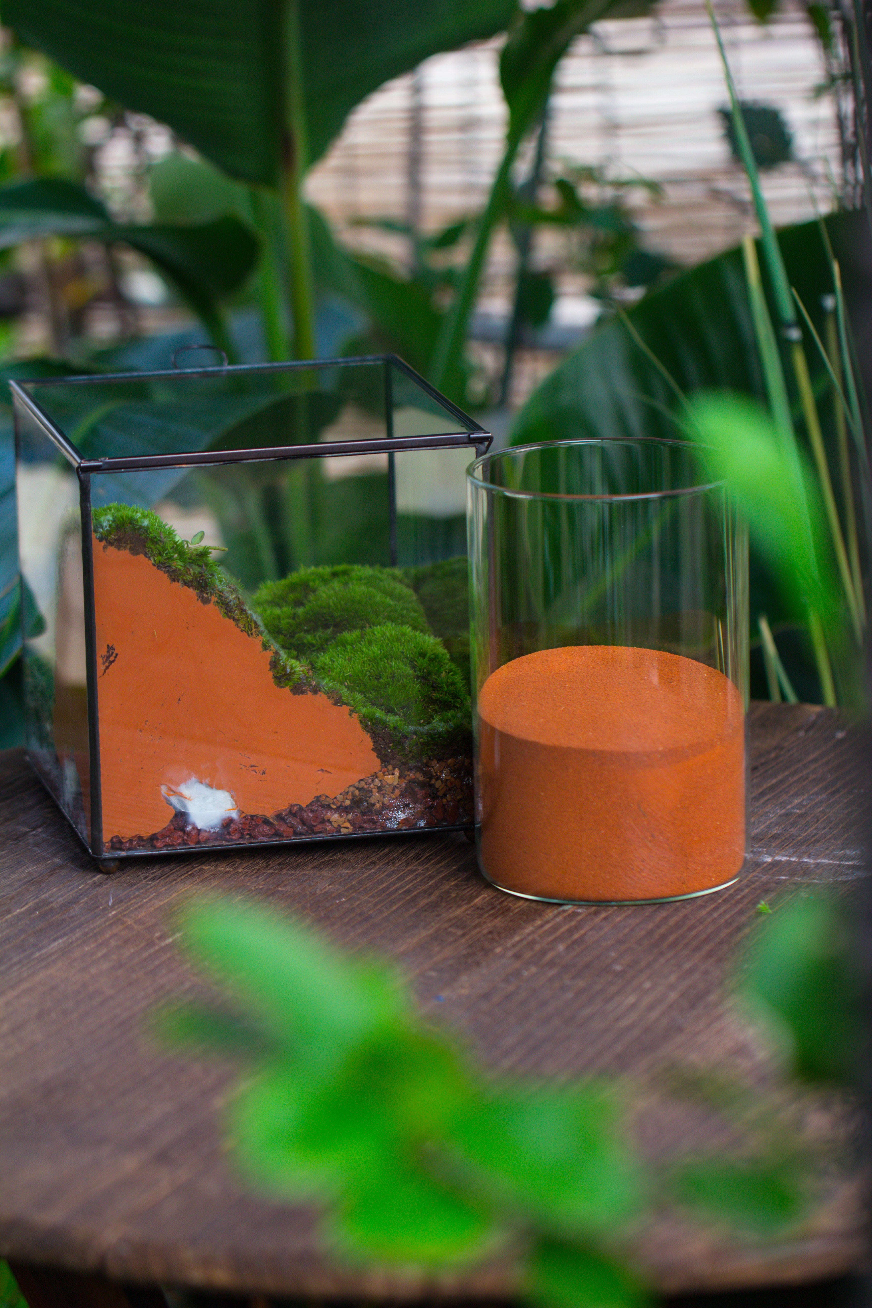soil for terrarium plants Rain Forest Sticky Red Clay for DIY Moss Wall, Plant Moss / plants on the Wall, vertical landscape, vivarium, Terrarium