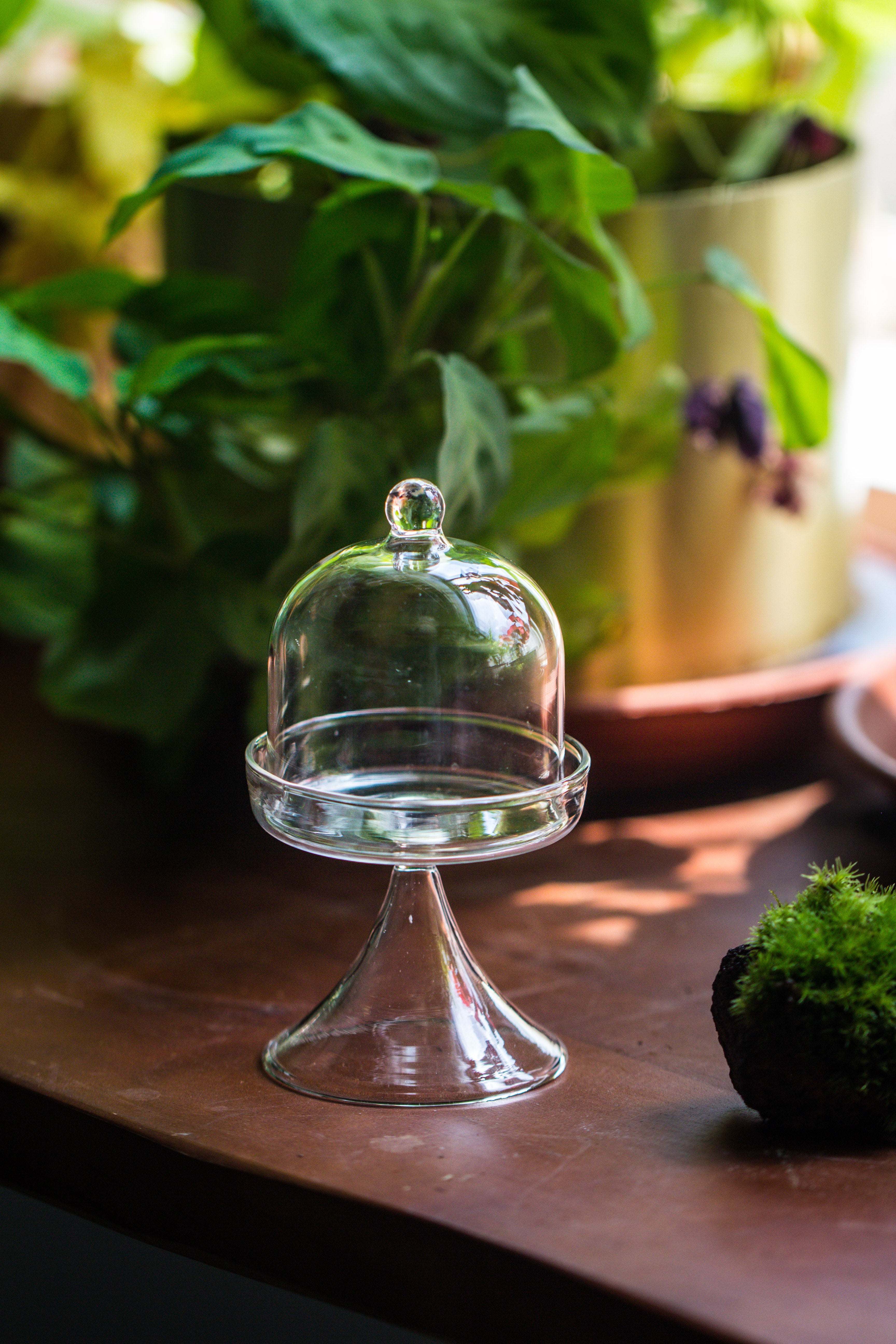 Mini glass serve stand  dome cloche set 7x12.8cm - NCYPgarden