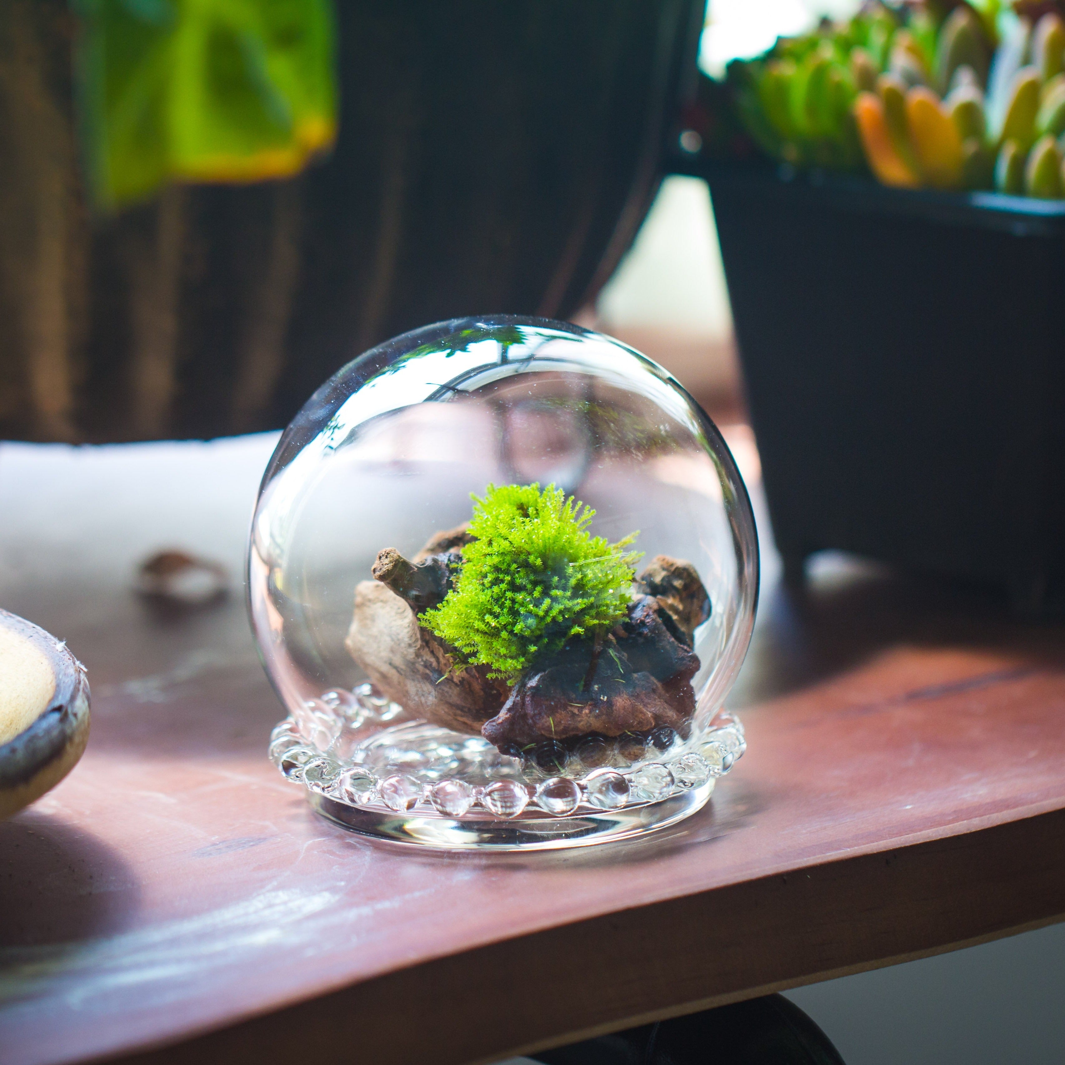 mini glass globe cloche with decorative beaded base 9.5x10.8cm - NCYPgarden