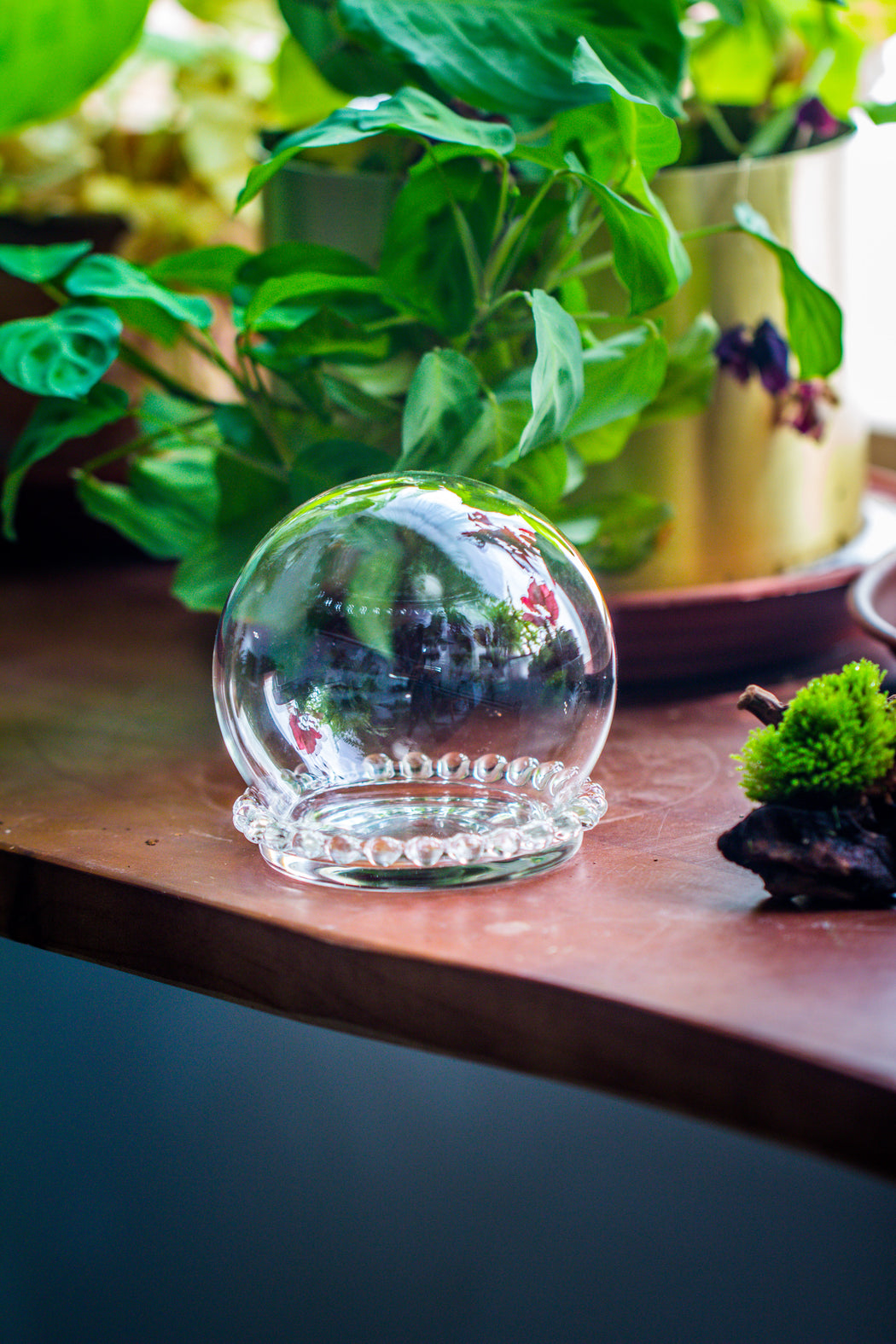 mini glass globe cloche with decorative beaded base 9.5x10.8cm - NCYPgarden