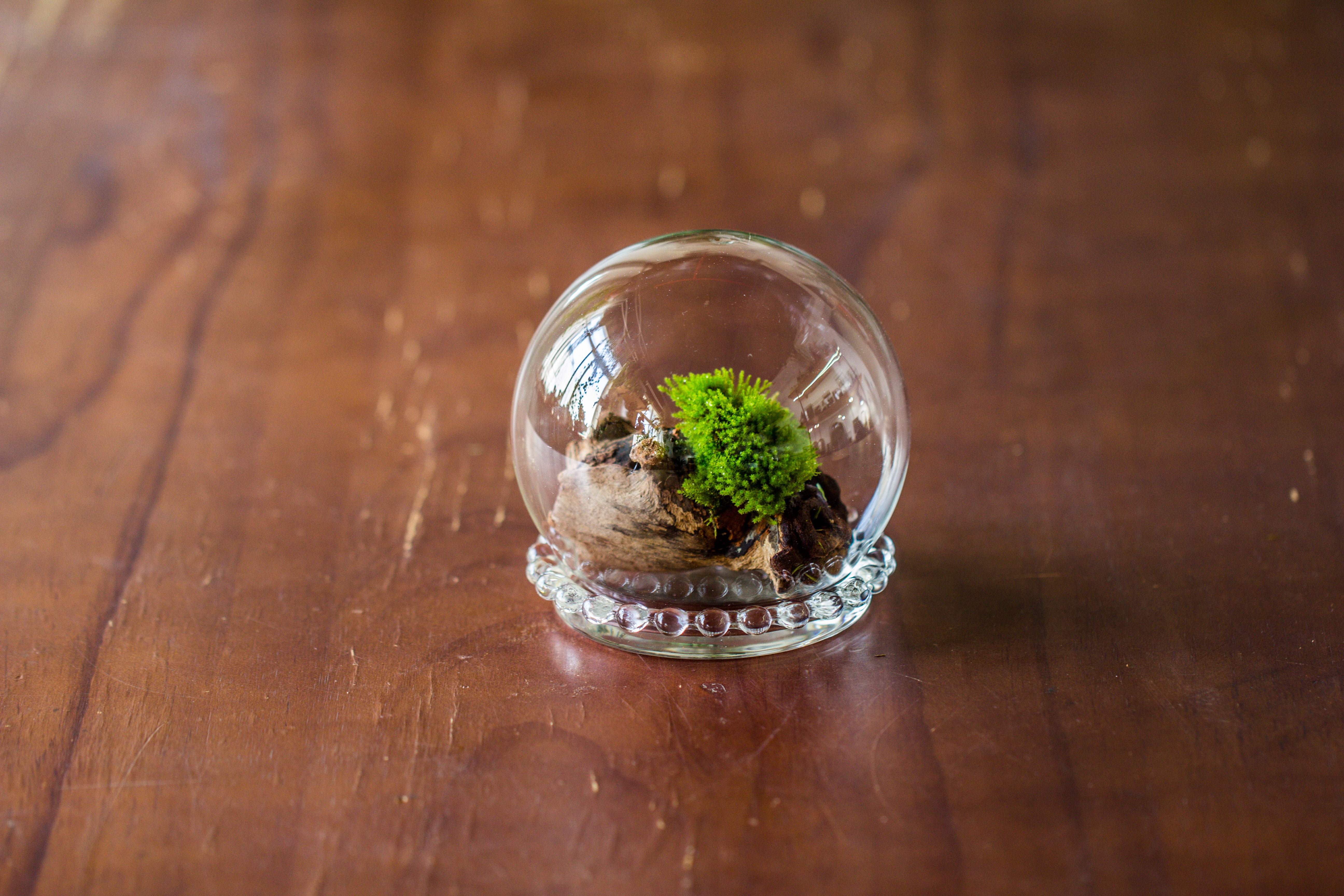 mini glass globe cloche with decorative beaded base 9.5x10.8cm - NCYPgarden