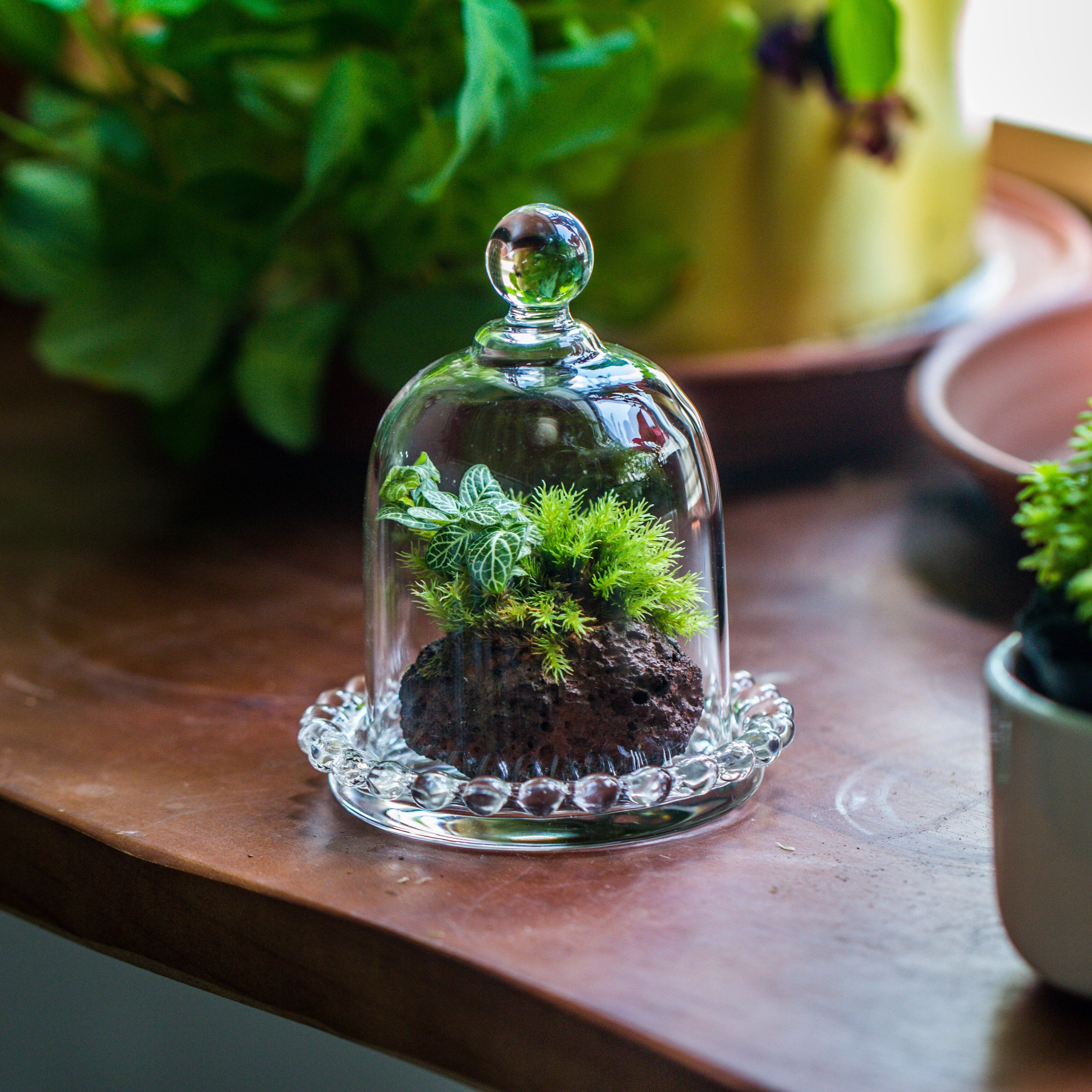 mini bell shape glass cloche dome with beaded decorative base 9.5x14cm - NCYPgarden