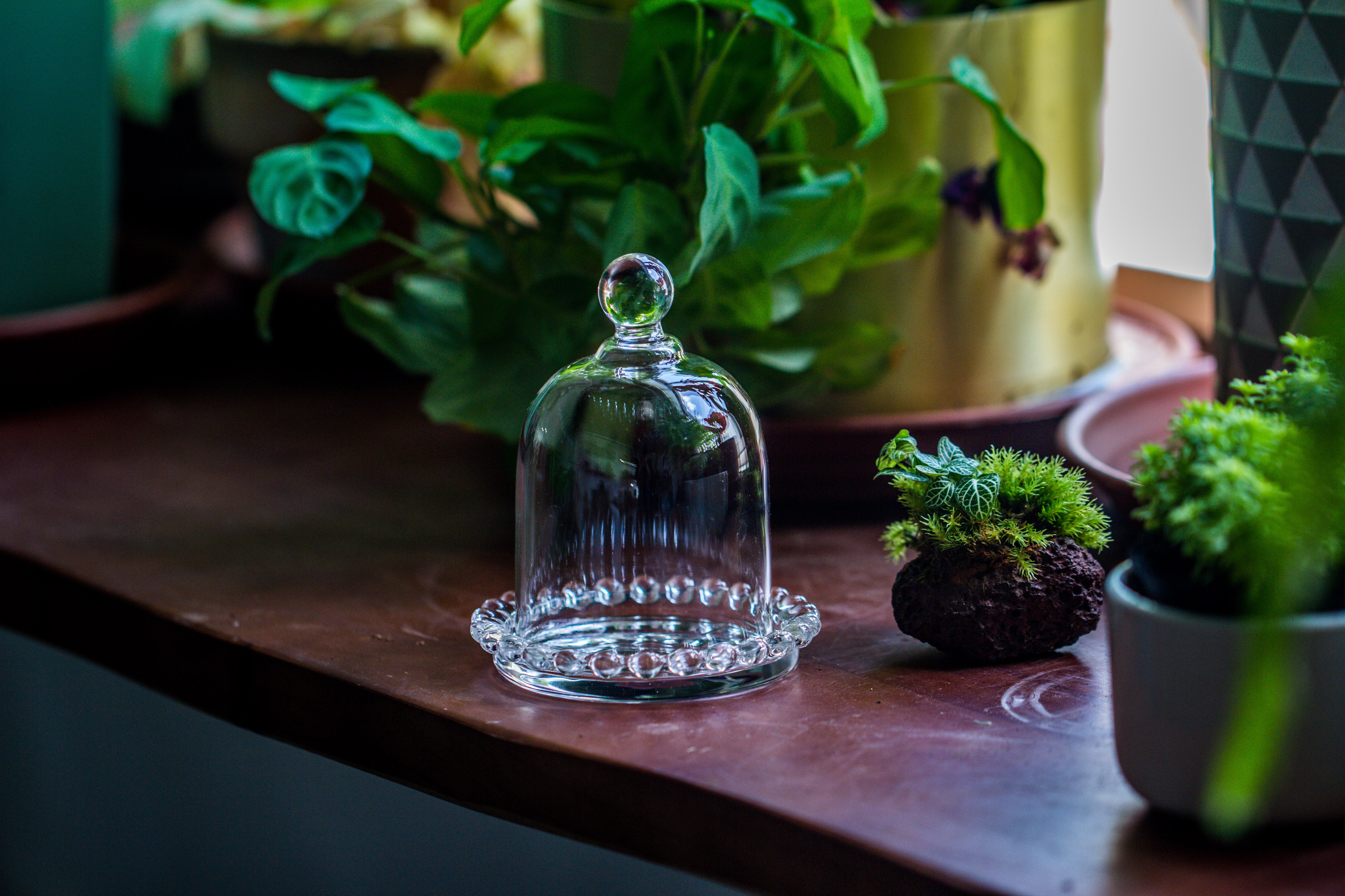 mini bell shape glass cloche dome with beaded decorative base 9.5x14cm - NCYPgarden