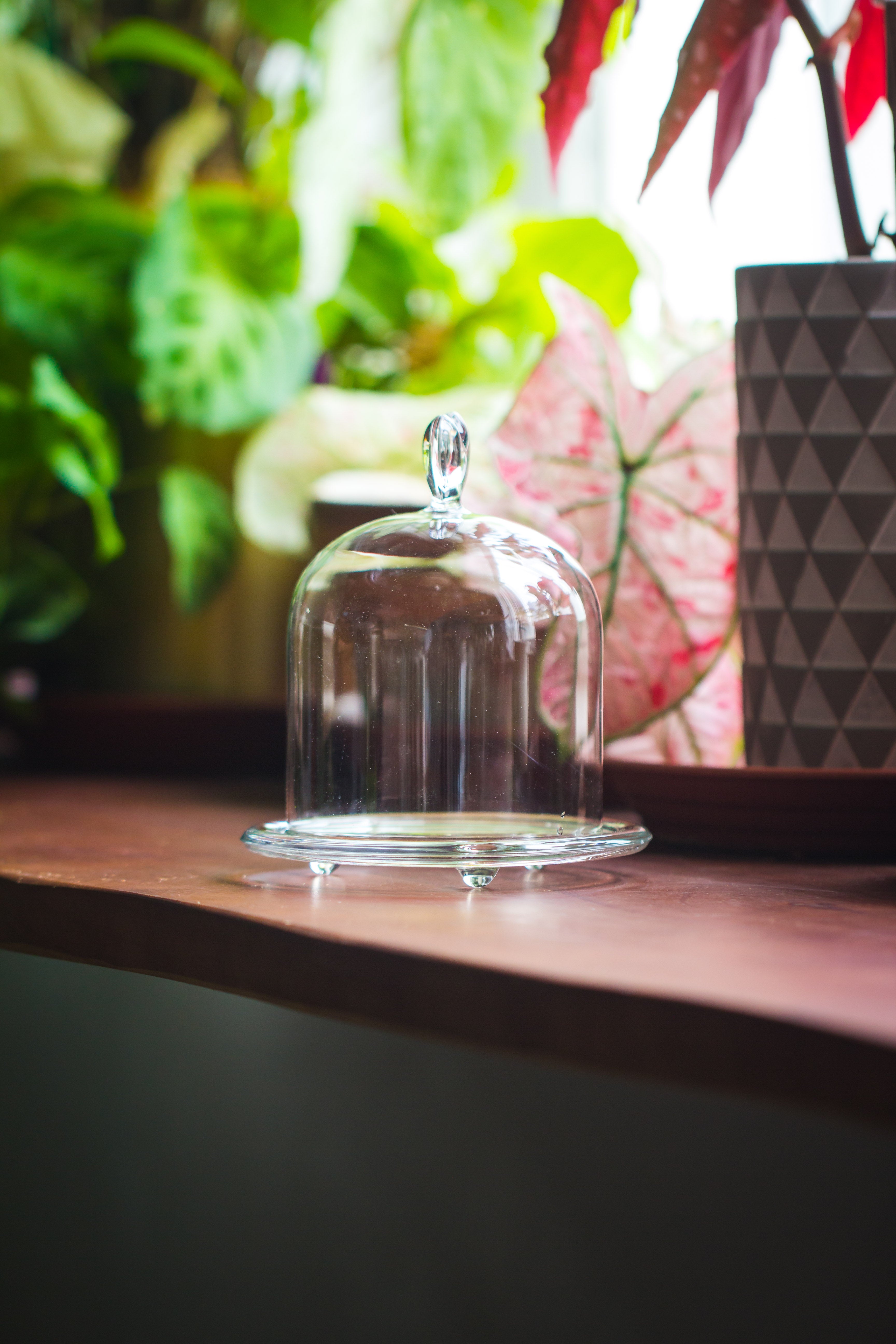 Heart Shape Tip Glass cloche with glass base and metal gold base set - NCYPgarden