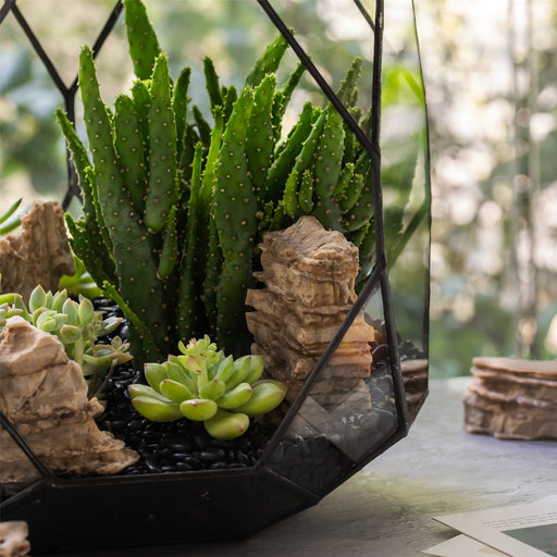 Natural Sedimentary Layered Rock for Landscaping Terrarium Miniature Bonsai Garden Ornaments Succulents - NCYPgarden