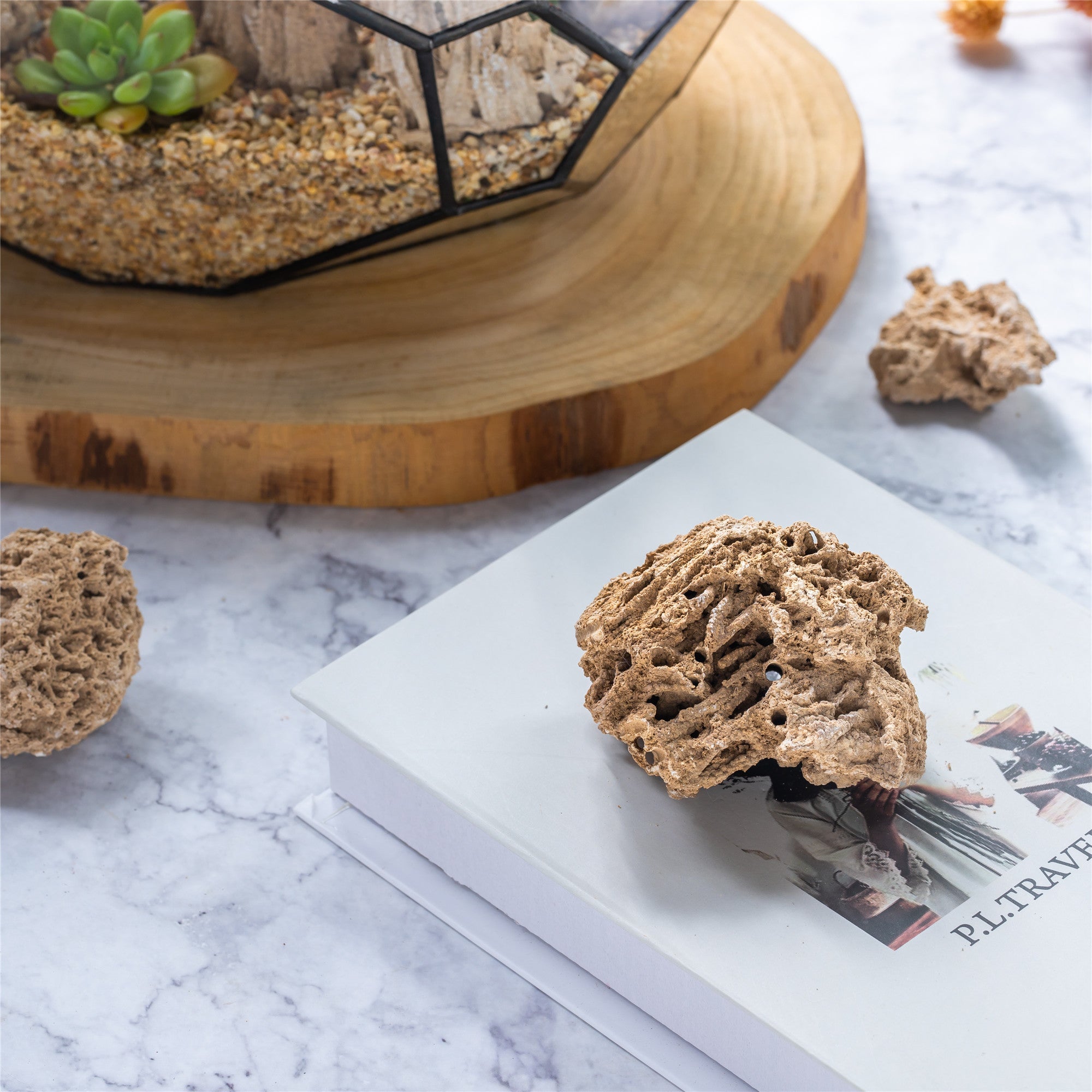 Natural Reed Tube Limestone Absorption for Landscaping Rockery Aquarium Bonsai Terrarium Succulents - NCYPgarden