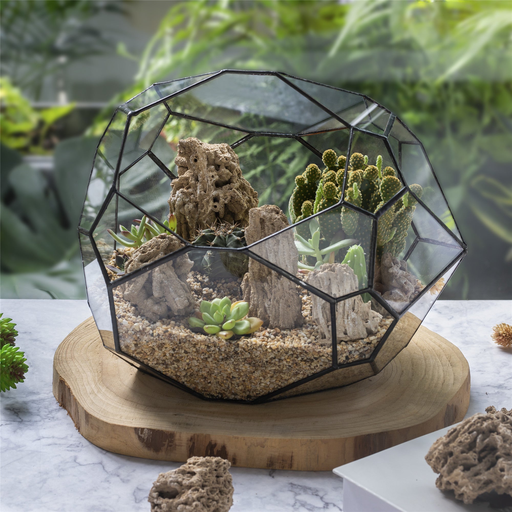 Natural Reed Tube Limestone Absorption for Landscaping Rockery Aquarium Bonsai Terrarium Succulents - NCYPgarden