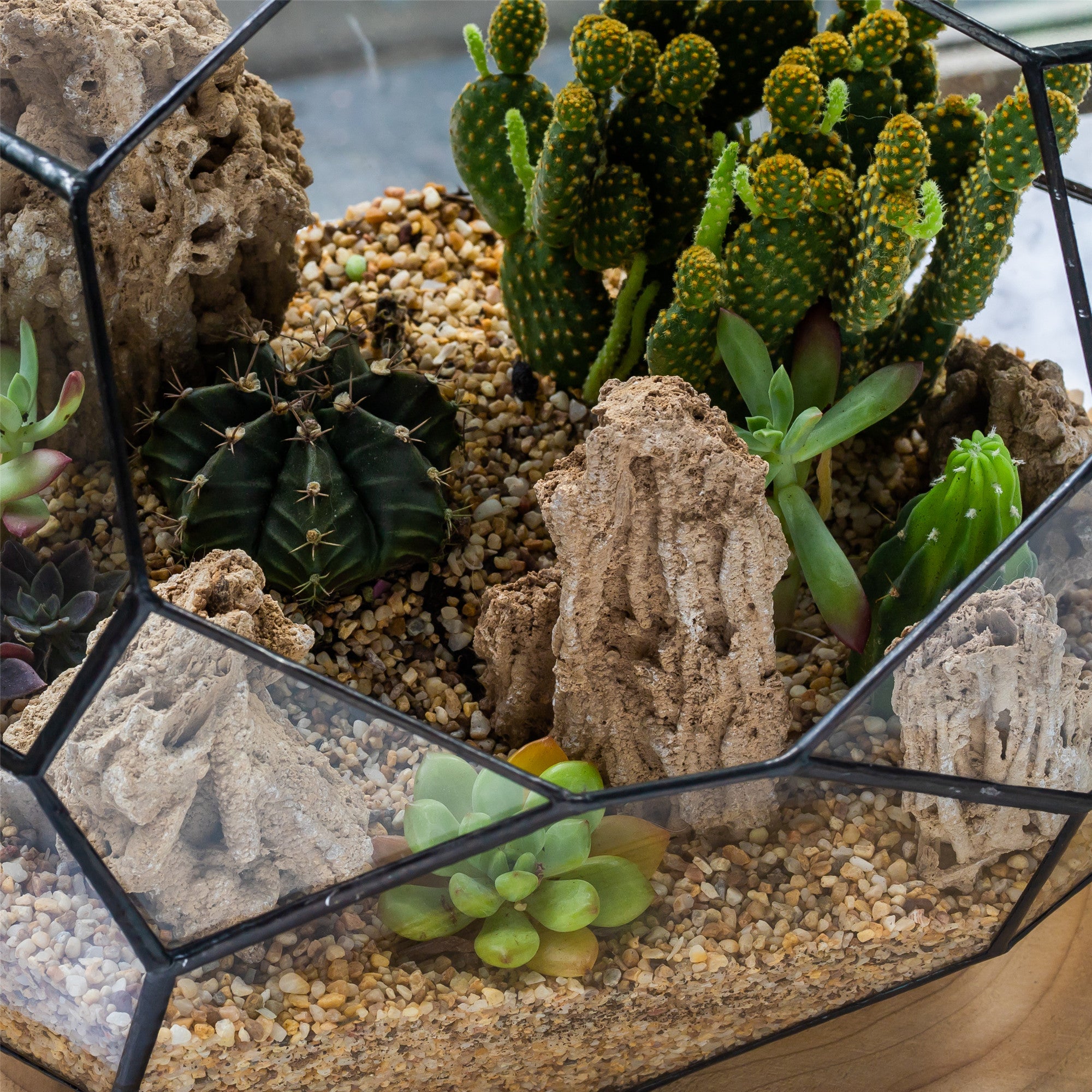 tube succulents Natural Reed Tube Limestone Absorption for Landscaping Rockery Aquarium Bonsai Terrarium Succulents