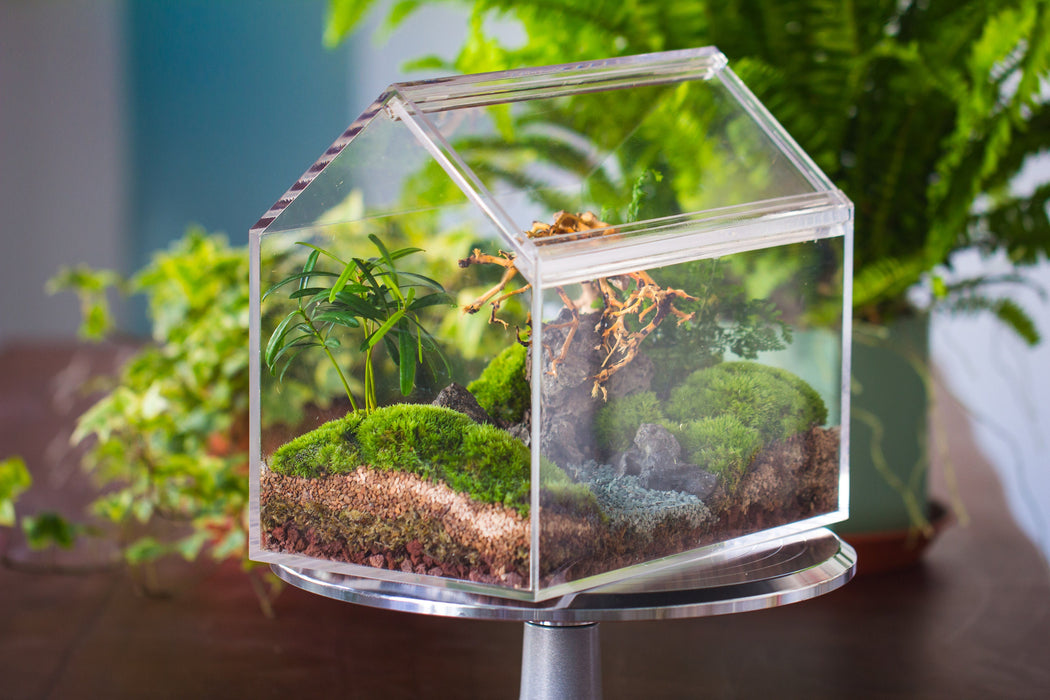 handmade water tight, sealed, enclosed, house acrylic terrarium