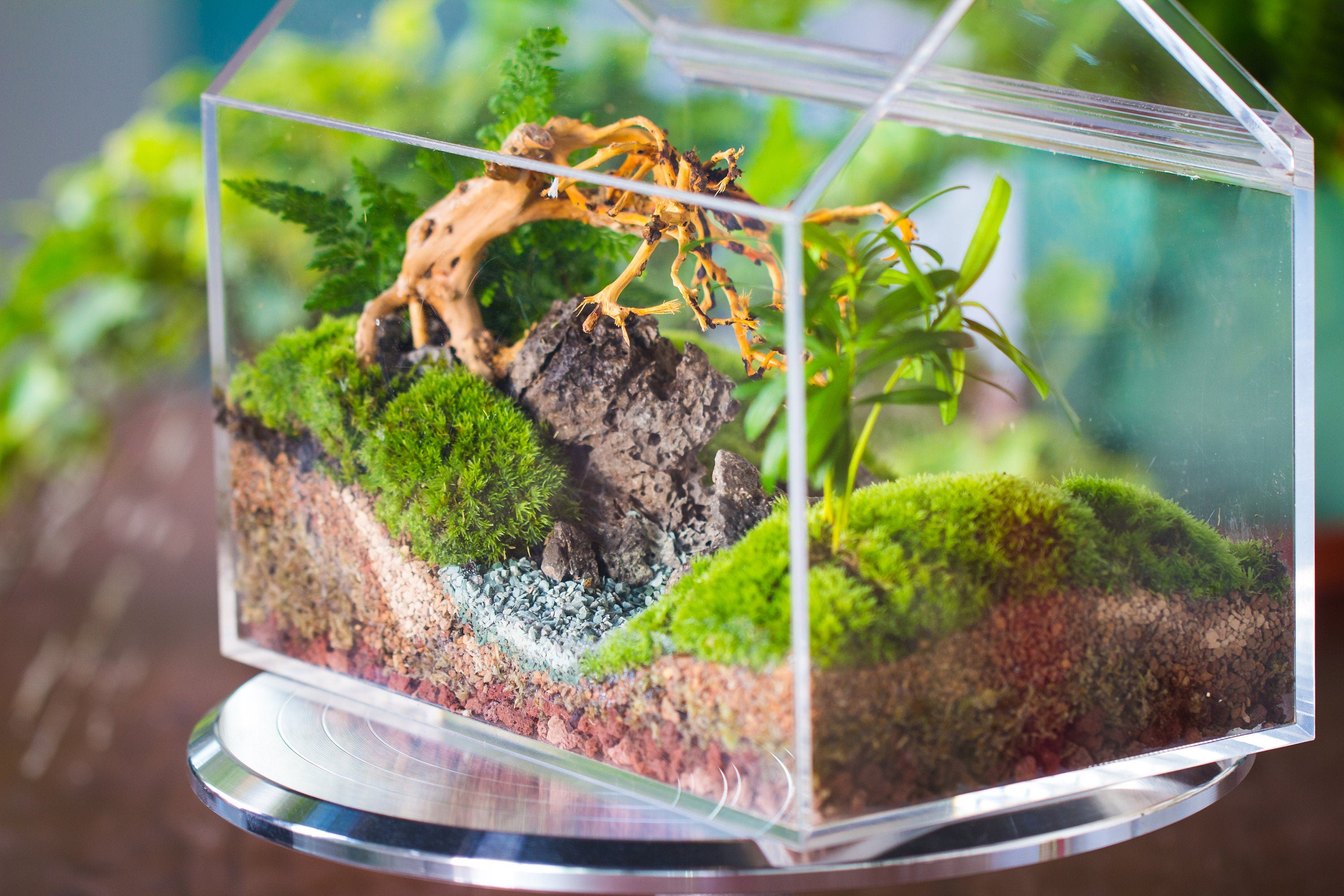 handmade water tight, sealed, enclosed, house acrylic terrarium, fish tank, moss fern terrarium Paludarium  Vivarium, 2 lid with vent - NCYPgarden