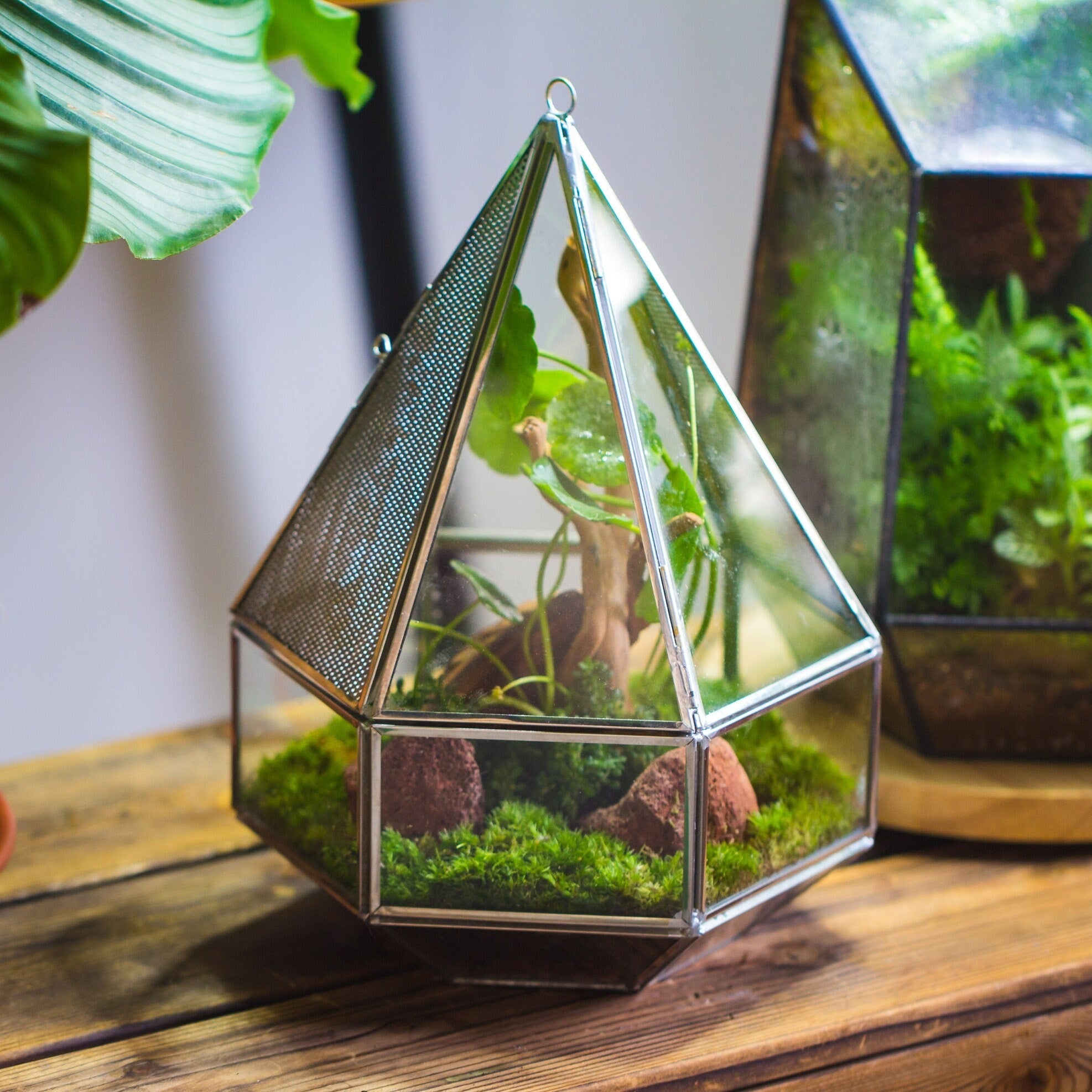 NCYP Hanging Six-surface Diamond Glass Geometric Terrarium, Stainless Steel, Silver, with Mesh for Insect Pet - NCYPgarden