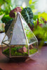 NCYP Hanging Six-surface Diamond Glass Geometric Terrarium, Stainless Steel, Silver, with Mesh for Insect Pet - NCYPgarden
