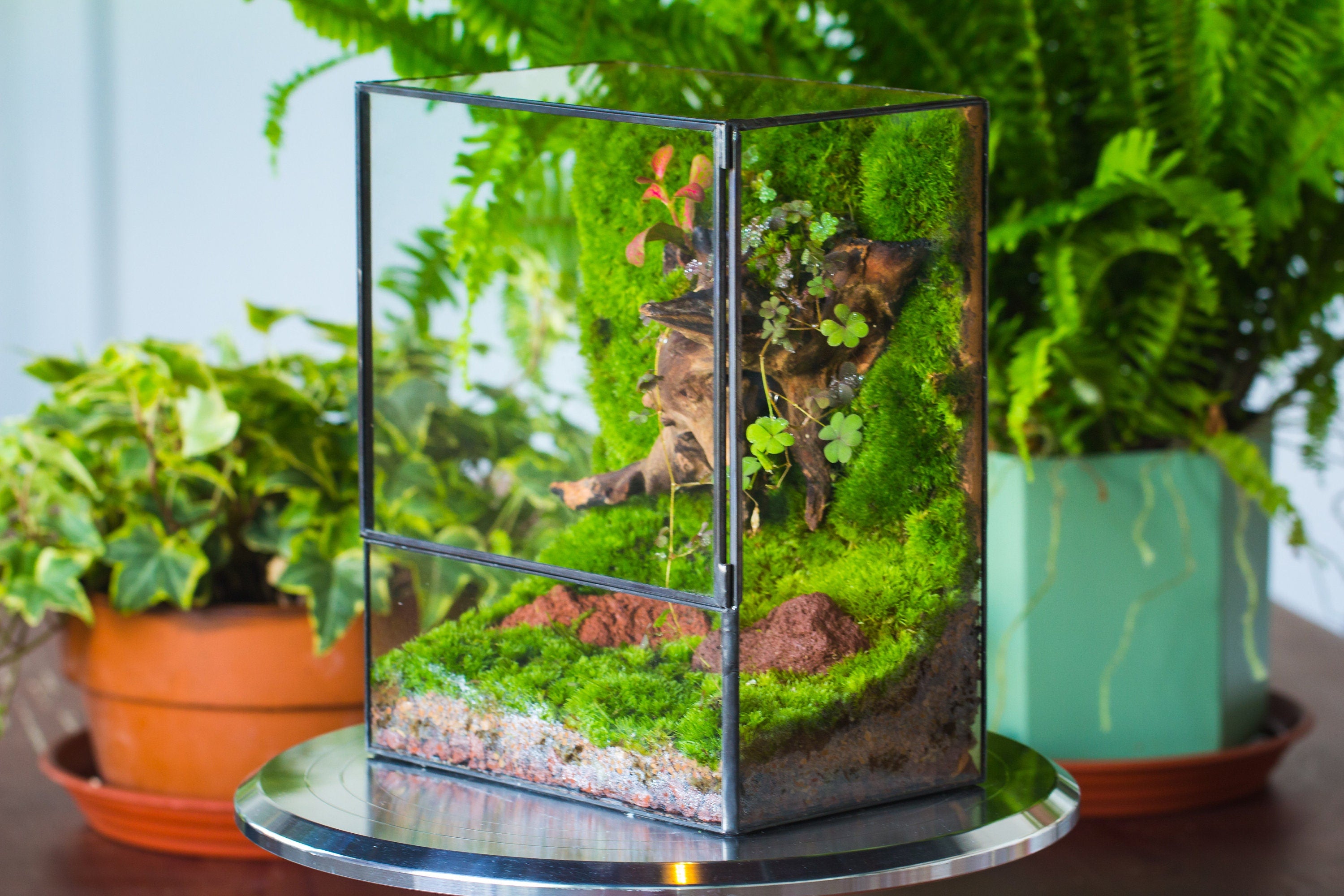 NCYP Close Geometric Glass Terrarium with Door, Tin Sealed Rectangle T ...