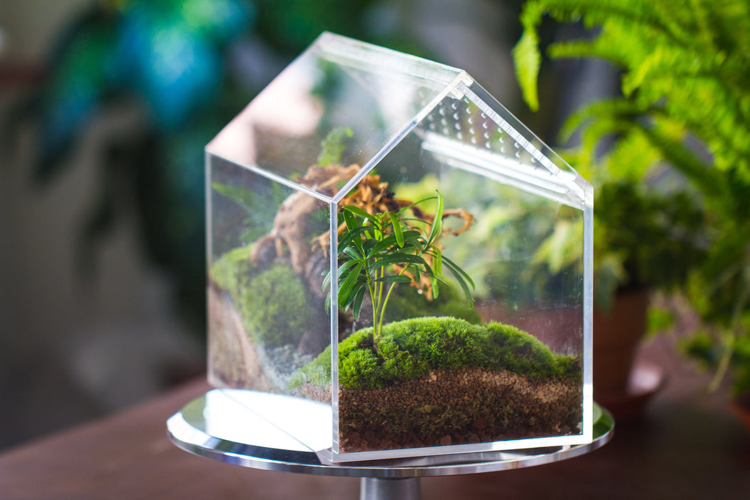 handmade water tight, sealed, enclosed, house acrylic terrarium, fish tank, moss fern terrarium Paludarium  Vivarium, 2 lid with vent - NCYPgarden