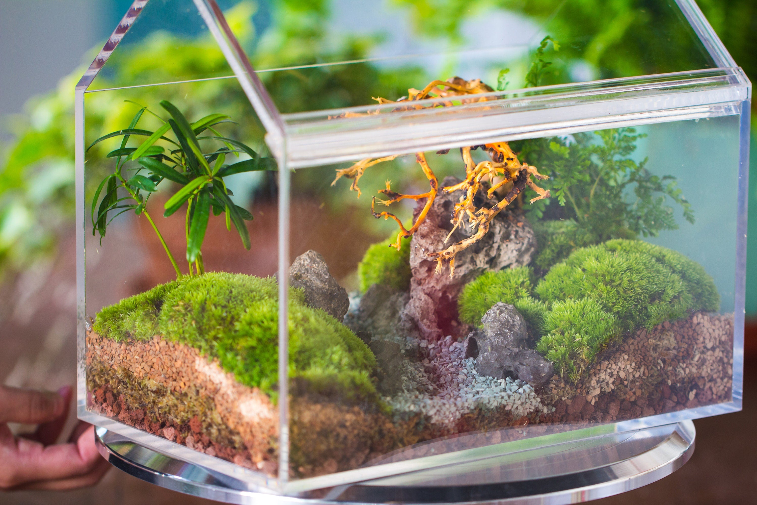 Handmade Water-Tight Sealed Enclosed House Acrylic Terrarium