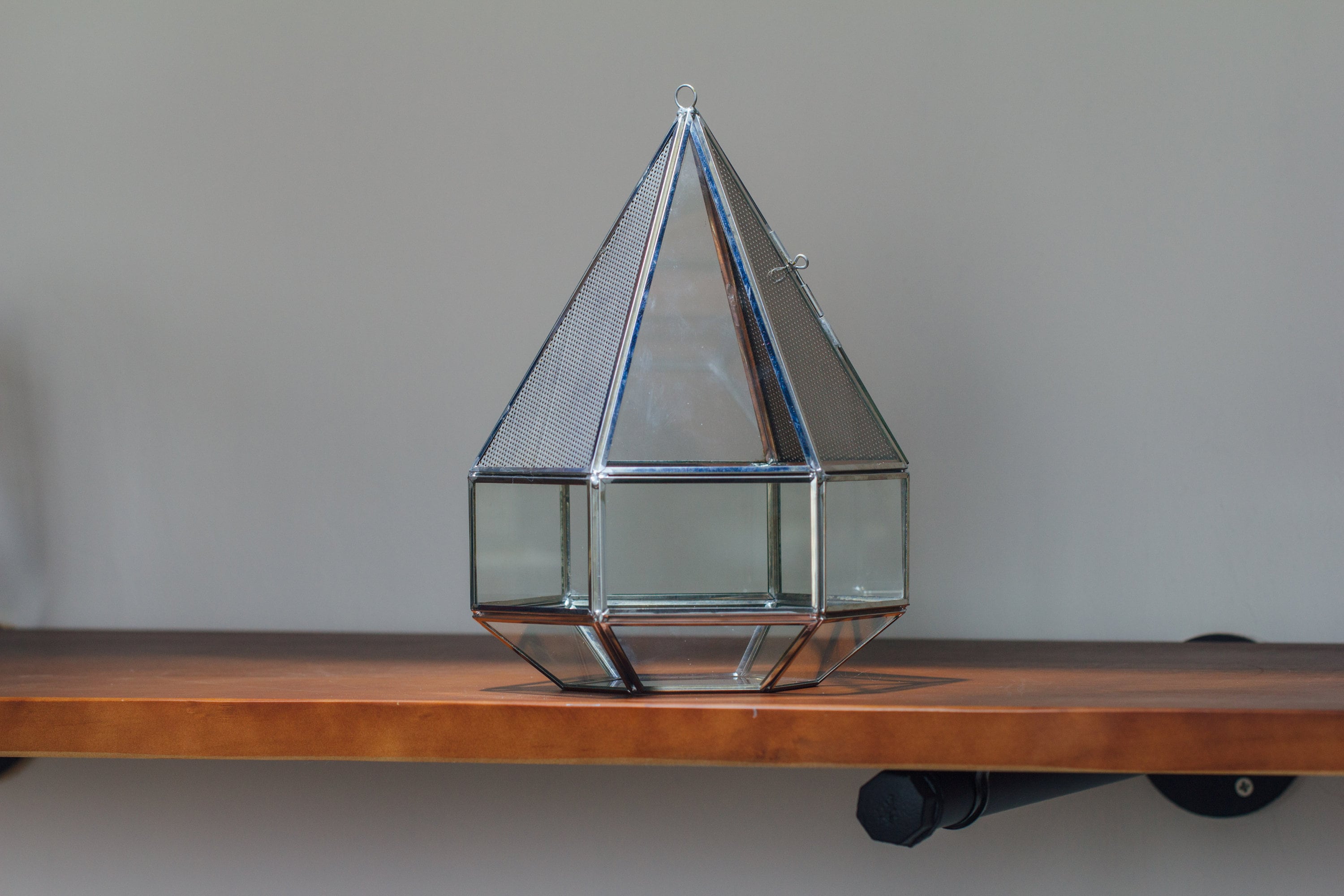 NCYP Hanging Six-surface Diamond Glass Geometric Terrarium, Stainless Steel, Silver, with Mesh for Insect Pet - NCYPgarden