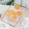 Hanging rectangle Multiple Size Herbarium Brass Double Glass Frame for Pressed Flowers, Dried Flowers, Poster, floating Frame - NCYPgarden