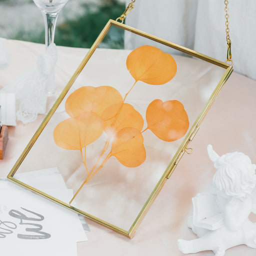 Buy MHM Unique Picture Frame Floating Frame for Pressed Flowers - 4x6  Double Glass Picture Frame – Unique Picture frames for desk, Double Glass  Frame for Dried Wildflowers, Photos, and Postcards (Gold)