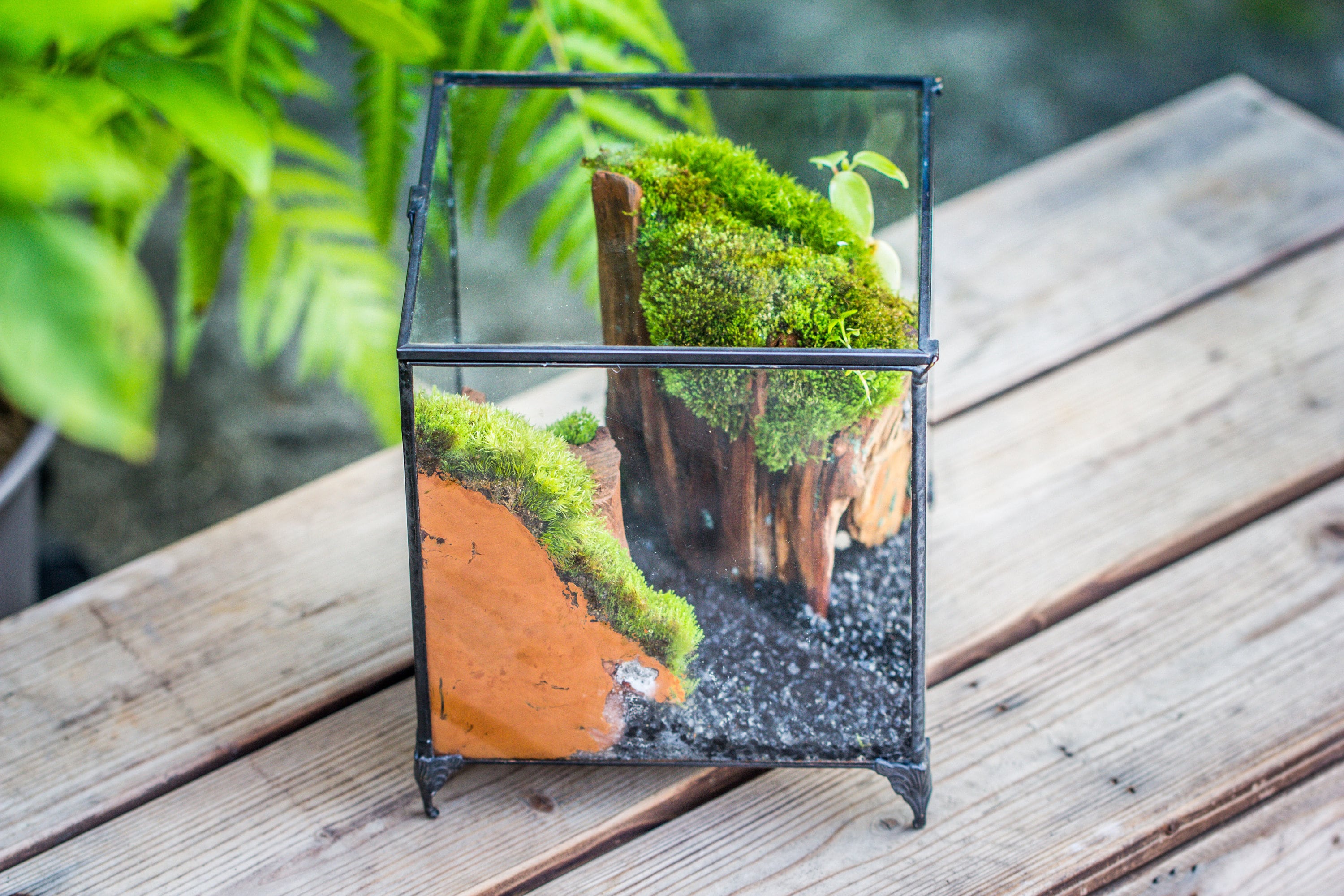 NCYP Vintage feet Cube Close Geometric Glass Terrarium with Door, Tin Sealed  Cube 4.3 / 5.9 inches Planter Succulent Cacti Fern Flower Pot - NCYPgarden
