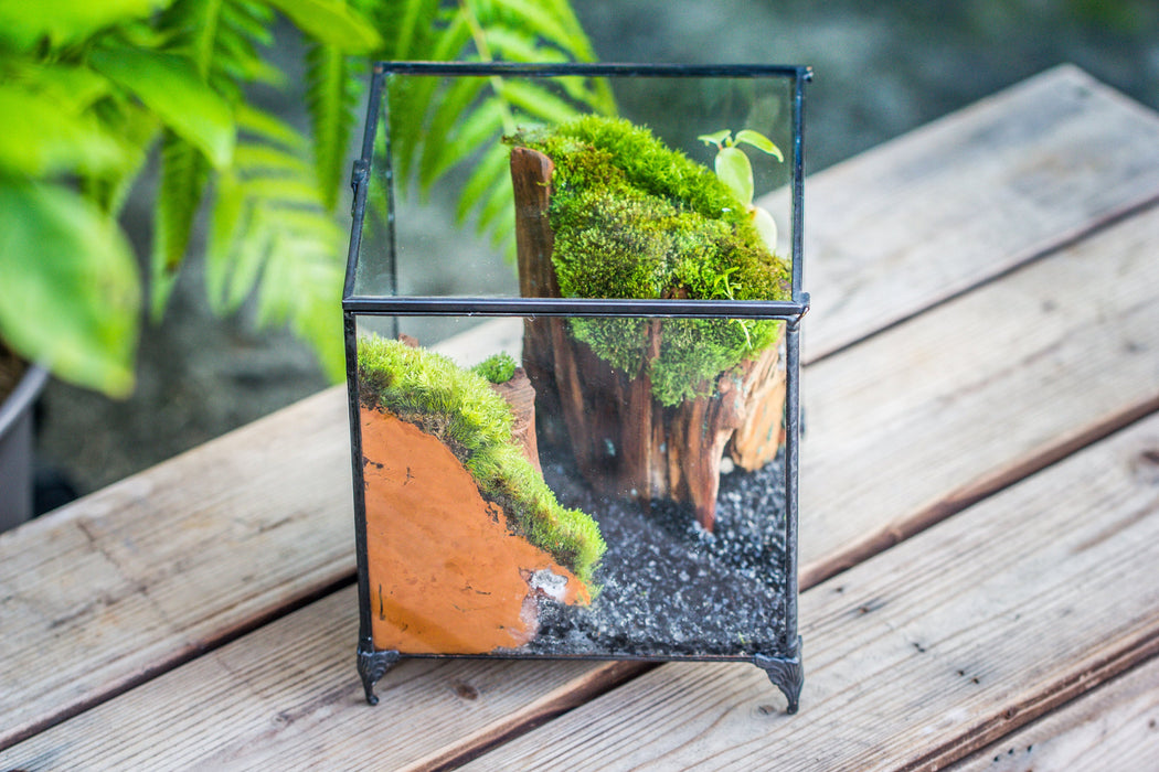 NCYP Close Geometric Glass Terrarium with Door, Tin Sealed Rectangle Tall  Moss wall Planter for Moss Wall, Fern, Landscape multiple size