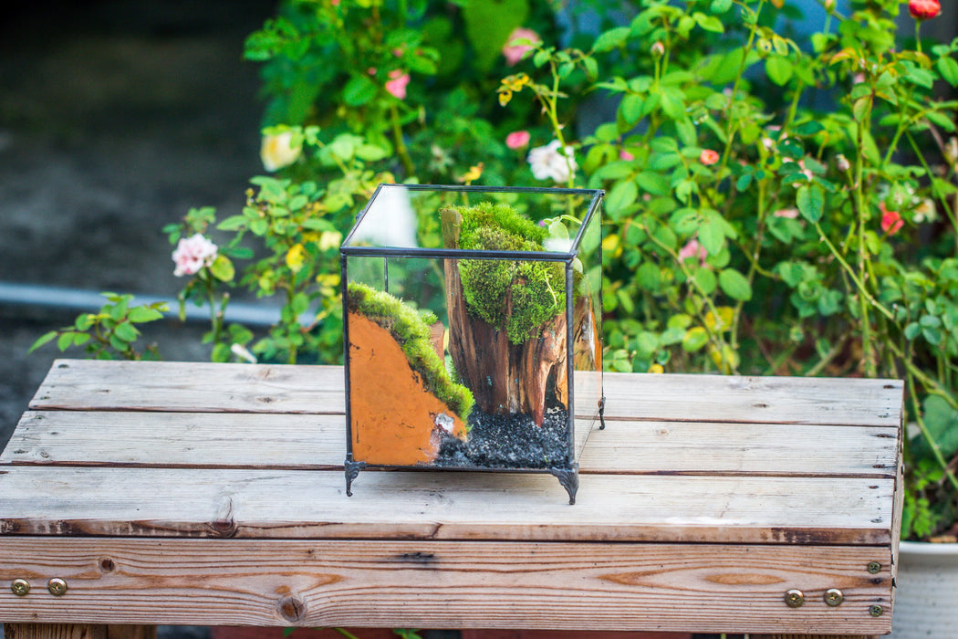 NCYP Vintage feet Cube Close Geometric Glass Terrarium with Door, Tin Sealed  Cube 4.3 / 5.9 inches Planter Succulent Cacti Fern Flower Pot - NCYPgarden