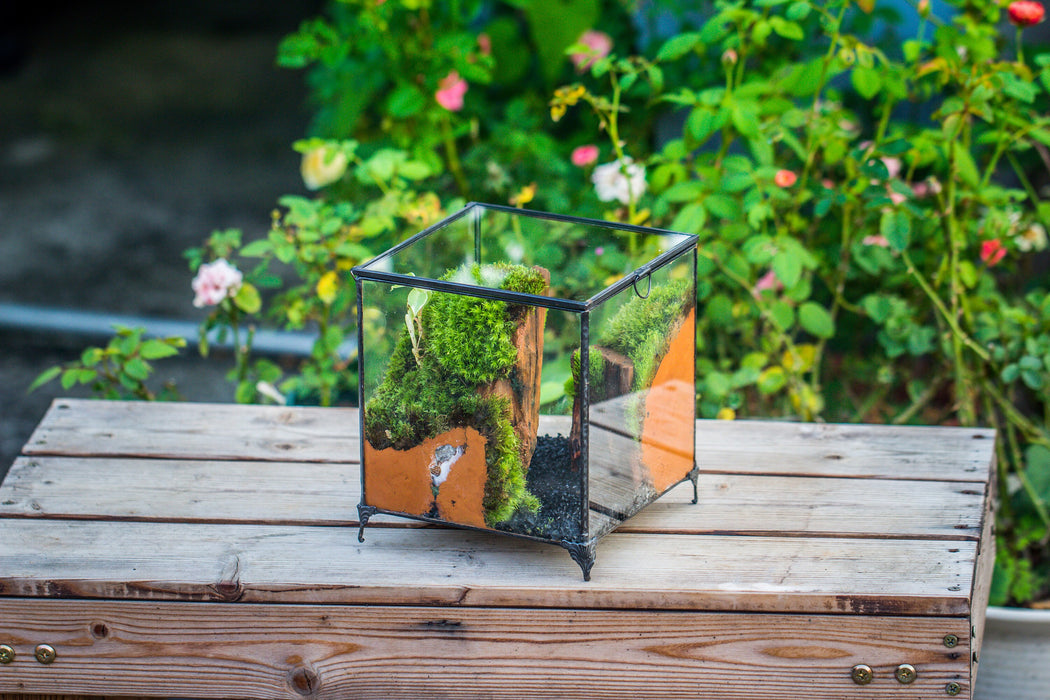 NCYP Vintage feet Cube Close Geometric Glass Terrarium with Door, Tin Sealed  Cube 4.3 / 5.9 inches Planter Succulent Cacti Fern Flower Pot - NCYPgarden