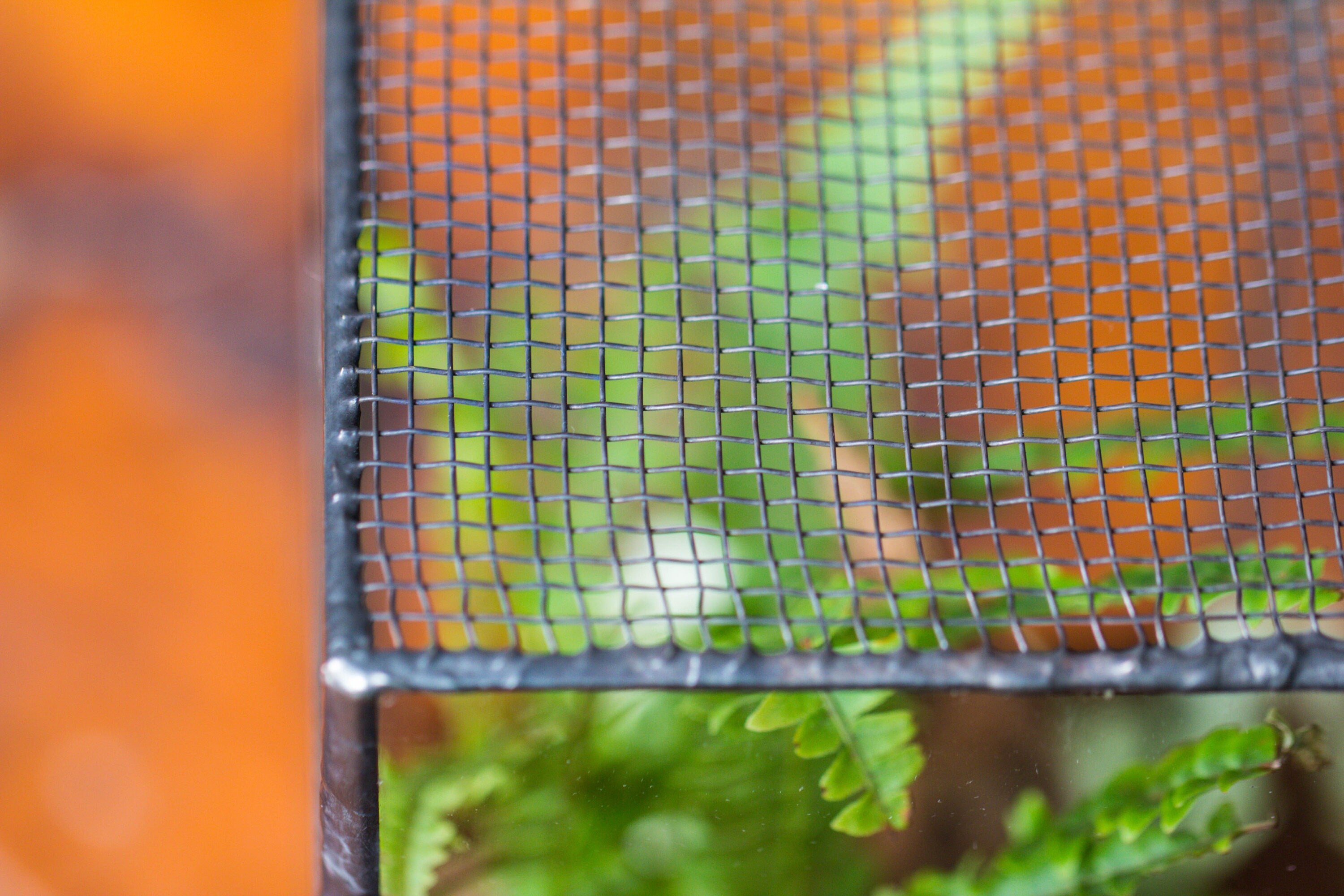 NCYP Rectangle Tin and Glass Geometric Terrarium,  with side door,  with Mesh  / vent holes for small Insects Pet - NCYPgarden