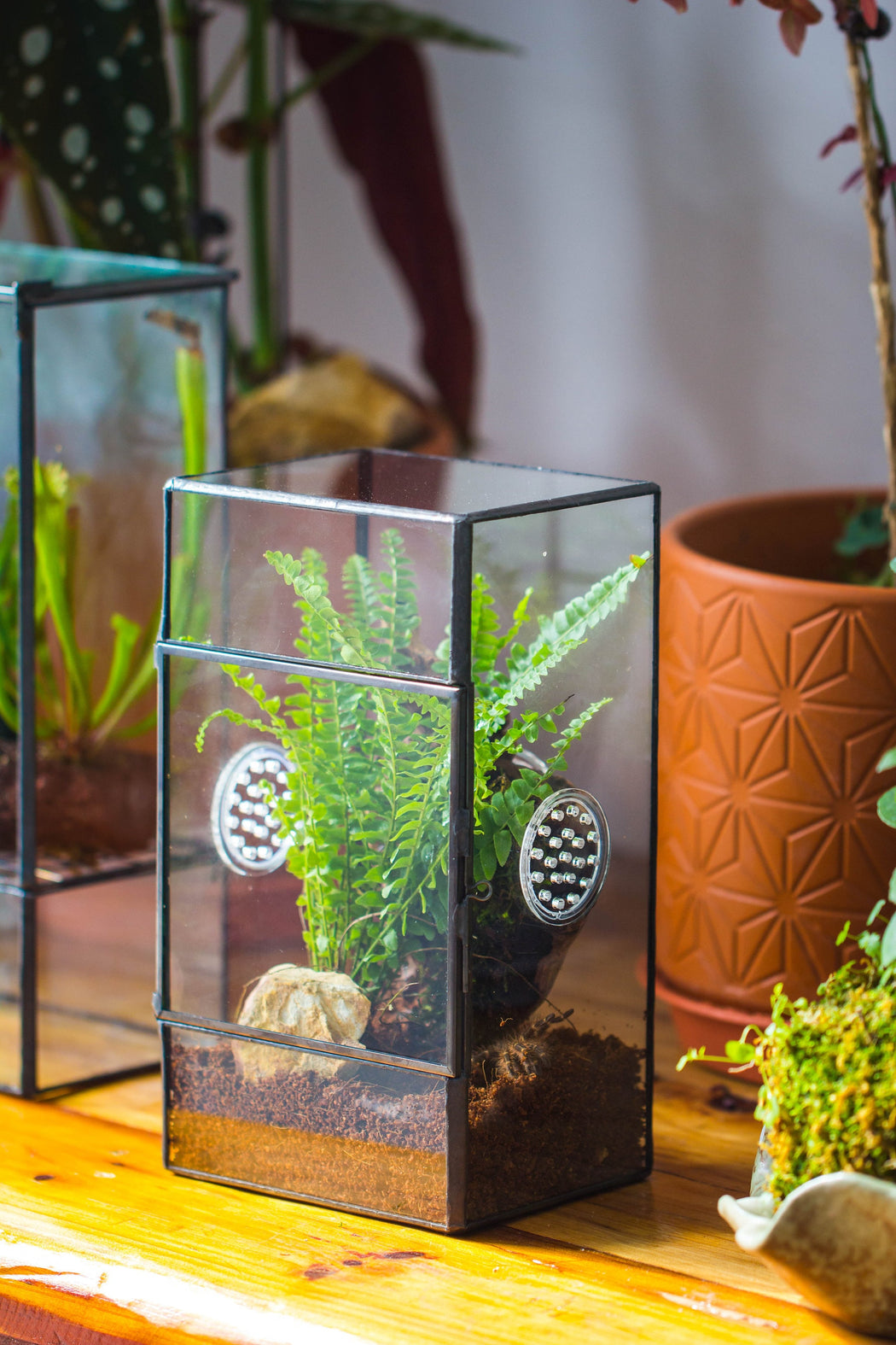 NCYP Rectangle Tin and Glass Geometric Terrarium,  with side door,  with Mesh  / vent holes for small Insects Pet - NCYPgarden