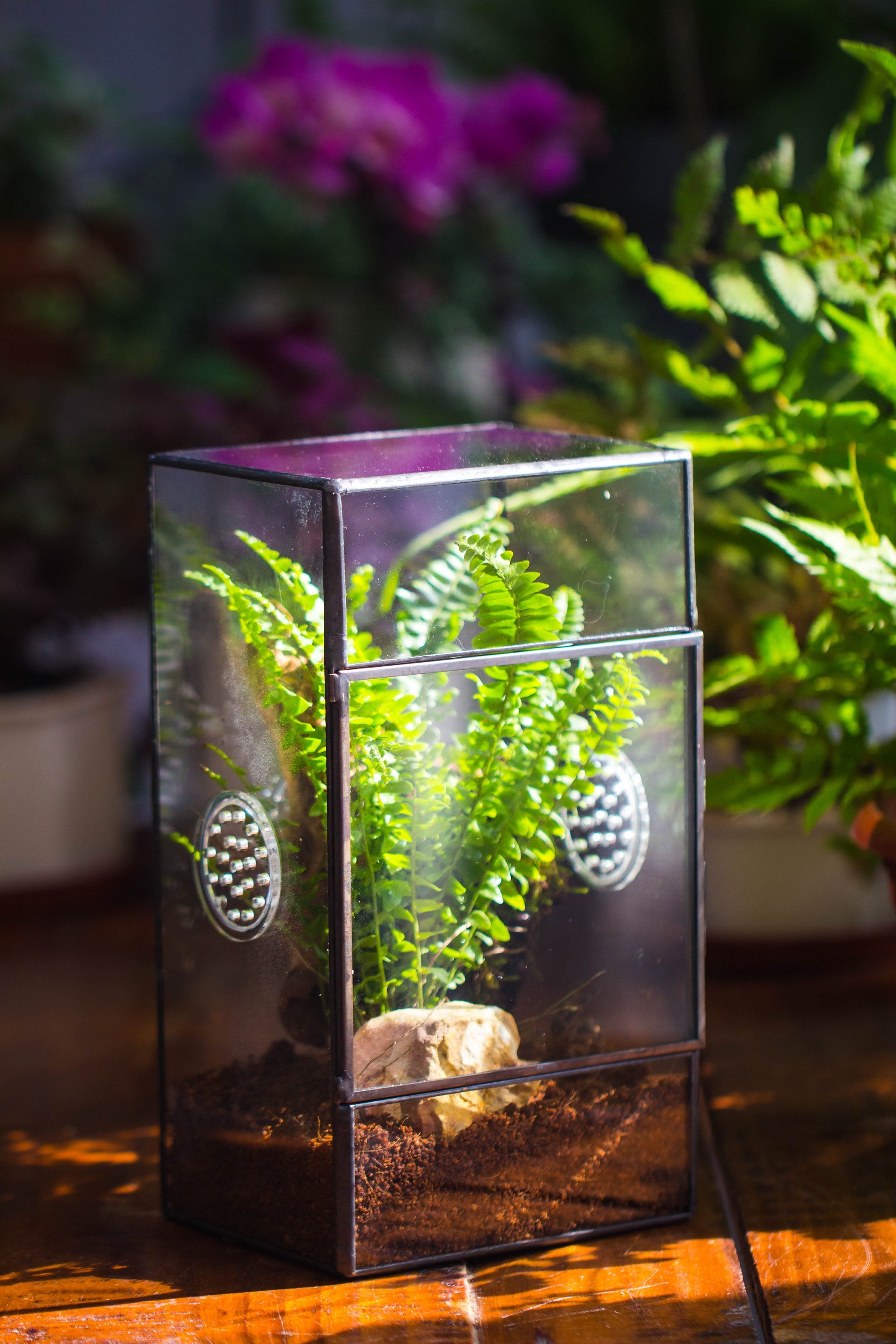 NCYP Rectangle Tin and Glass Geometric Terrarium,  with side door,  with Mesh  / vent holes for small Insects Pet - NCYPgarden