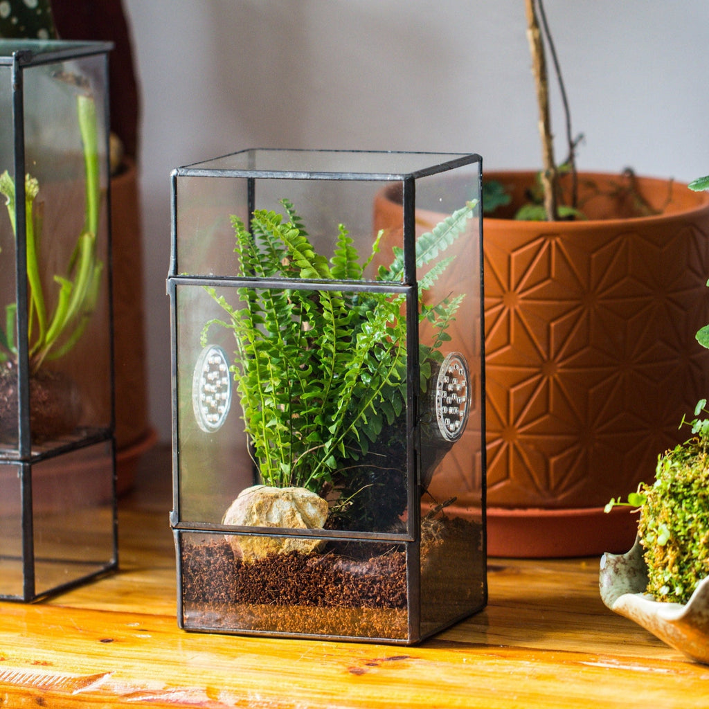 NCYP Rectangle Tin and Glass Geometric Terrarium, with side door