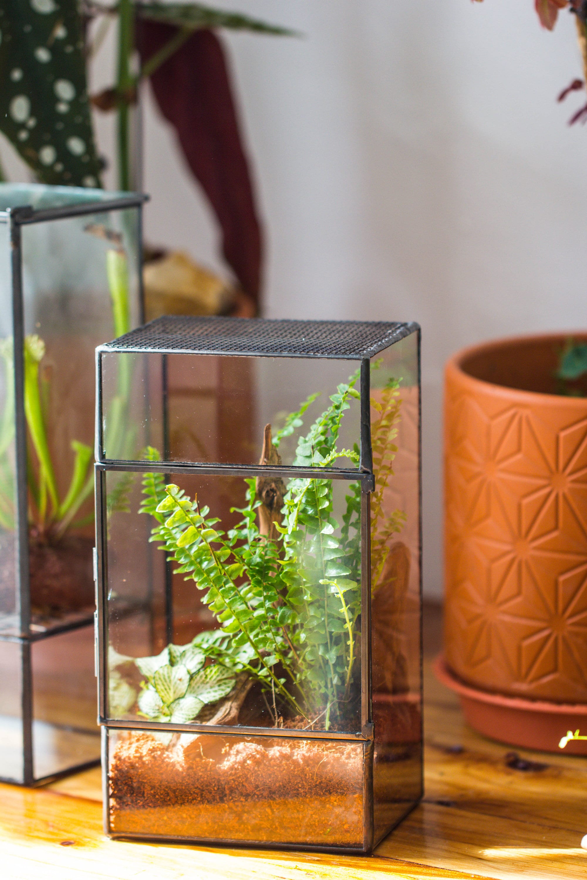 NCYP Rectangle Tin and Glass Geometric Terrarium,  with side door,  with Mesh  / vent holes for small Insects Pet - NCYPgarden