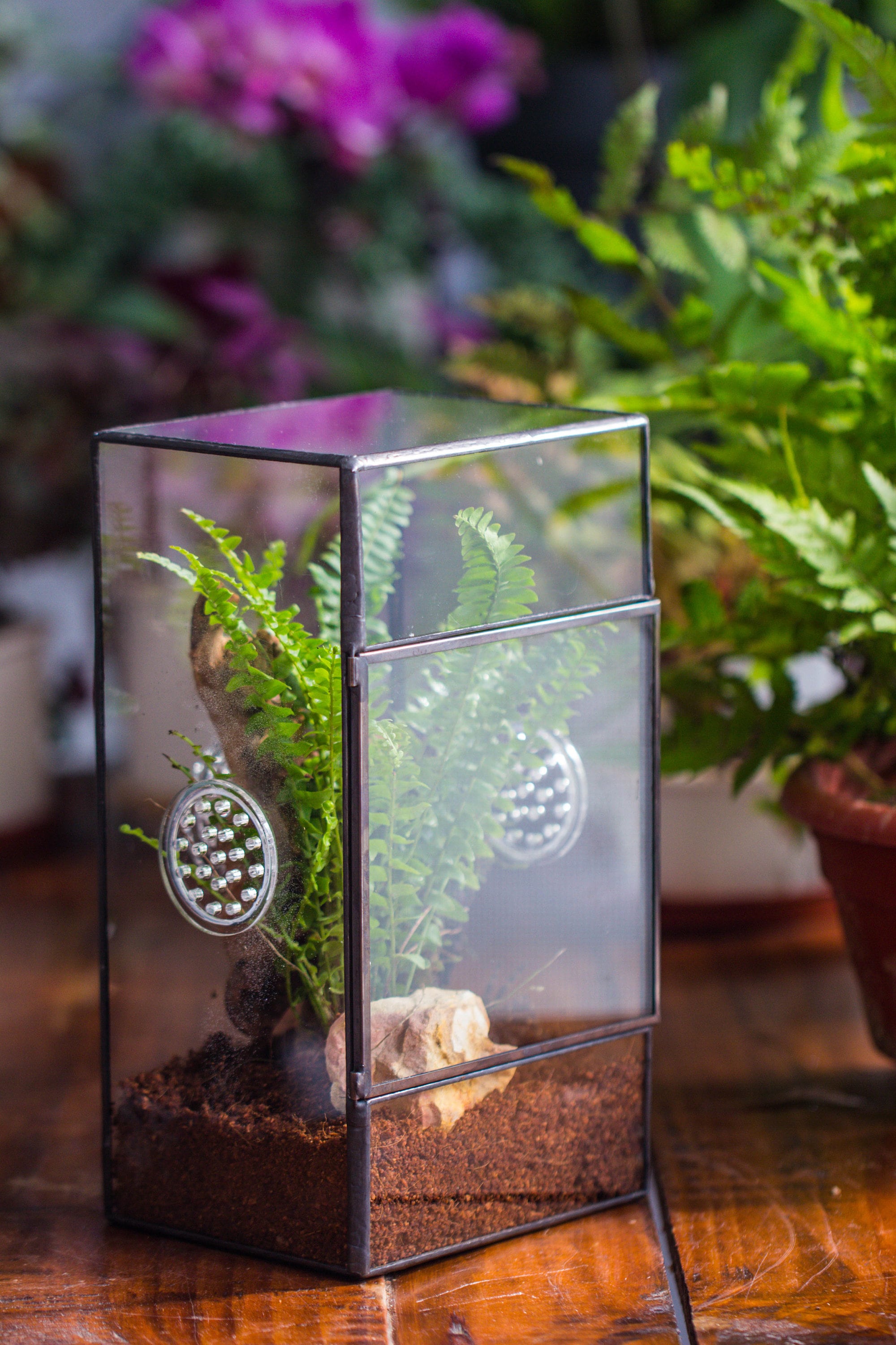 NCYP Rectangle Tin and Glass Geometric Terrarium,  with side door,  with Mesh  / vent holes for small Insects Pet - NCYPgarden