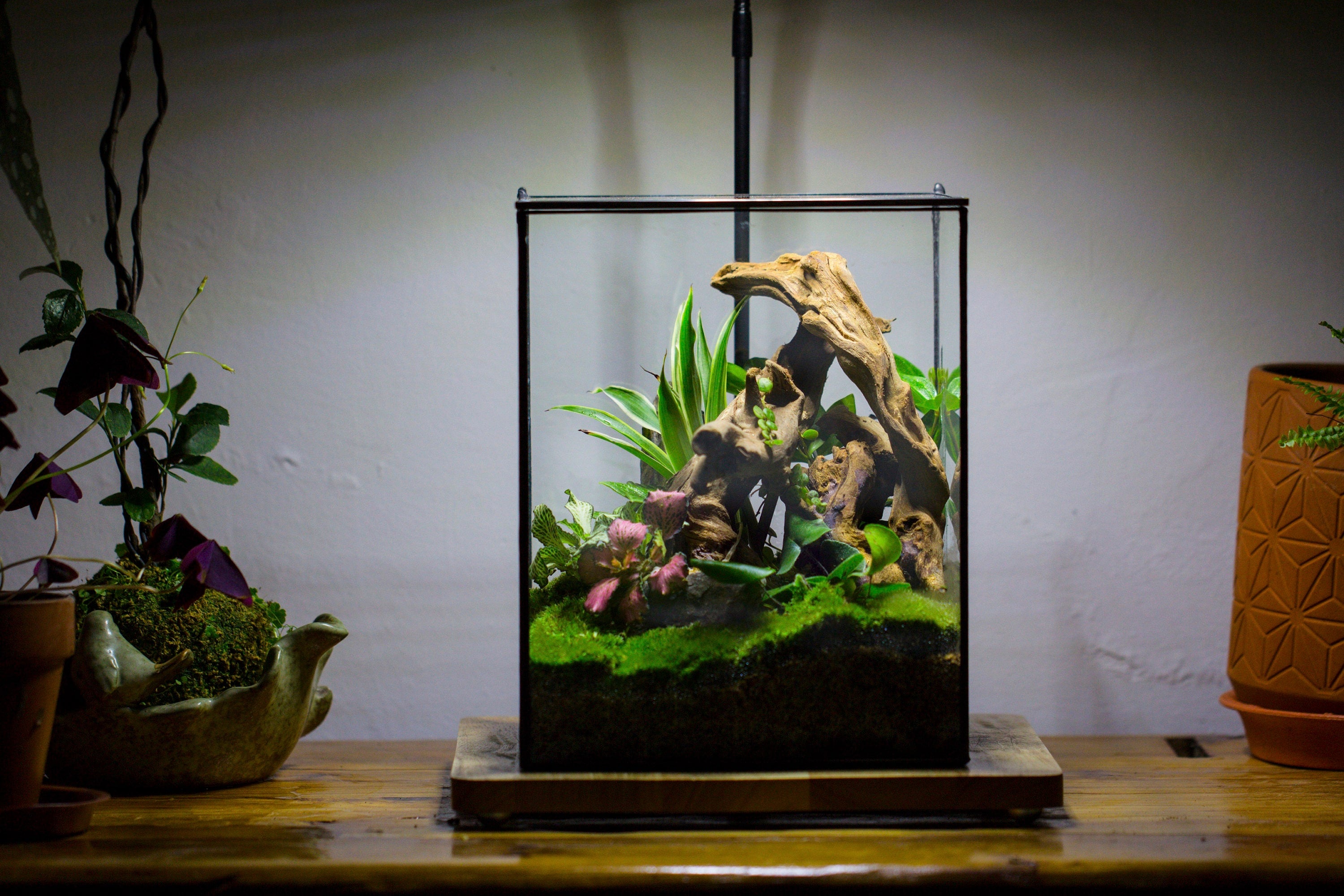 NCYP Basic Rectangle Close Geometric Glass Tin Terrarium, Planter  Multiple Size for Moss Wall, Fern, Landscape multiple size, No plants - NCYPgarden