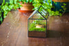 NCYP Handmade Geometric Glass Close Terrarium Box House Shape, Swing Lid Latch for Air Plants Moss Snail Reptile Habitat Vivarium - NCYPgarden