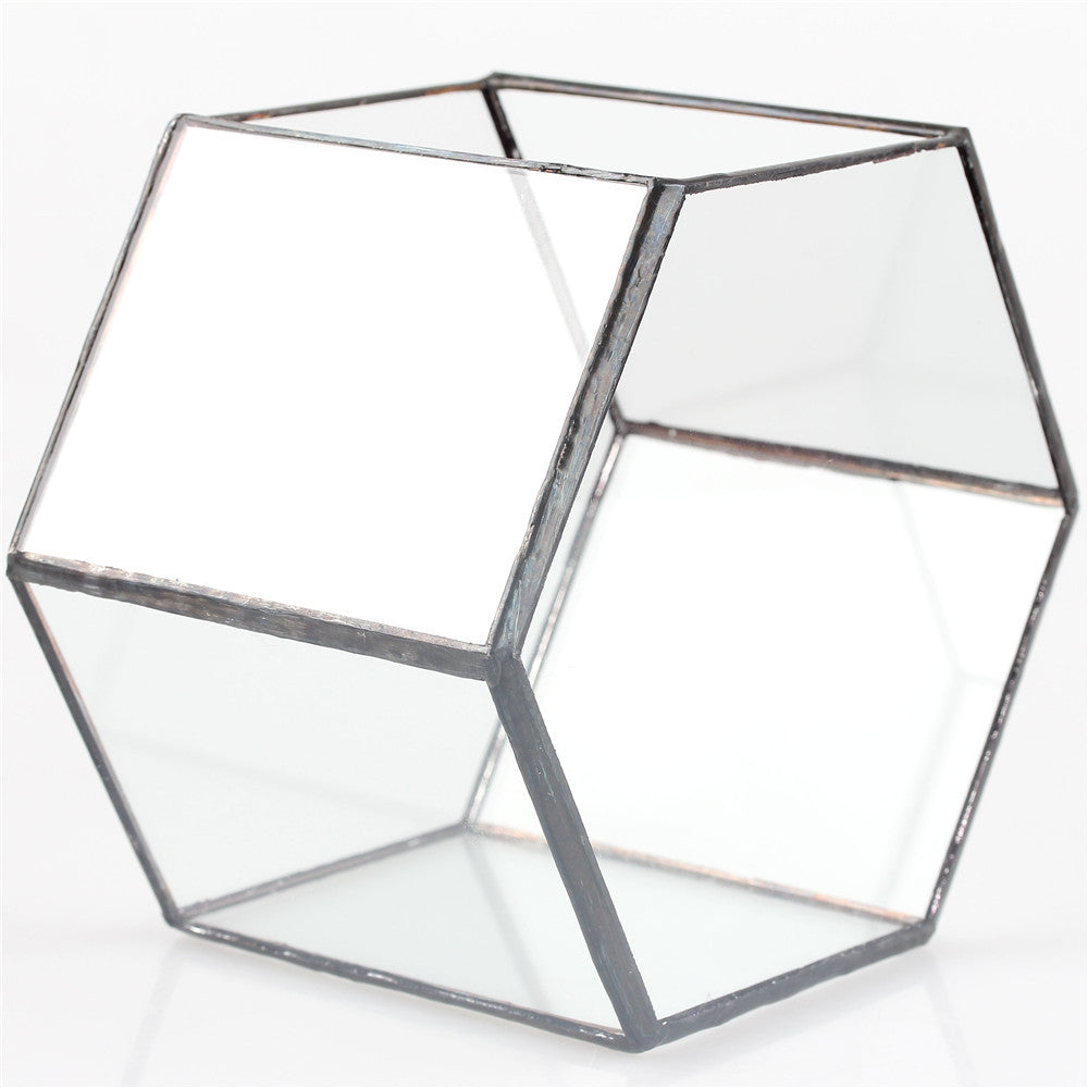 Handmade Wall Geometric Hexagon Glass Terrarium Box for Fern Moss Succulent Airplants Cacti - NCYPgarden