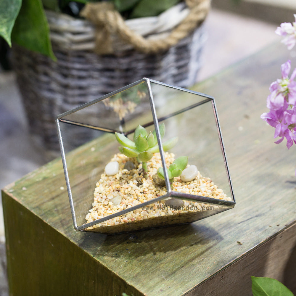 Handmade 3.93" / 10cm Silver Square Inclined Open Cube Glass Geometric Terrarium Box for Succulents - NCYPgarden