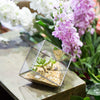 Handmade 3.93" / 10cm Silver Square Inclined Open Cube Glass Geometric Terrarium Box for Succulents - NCYPgarden