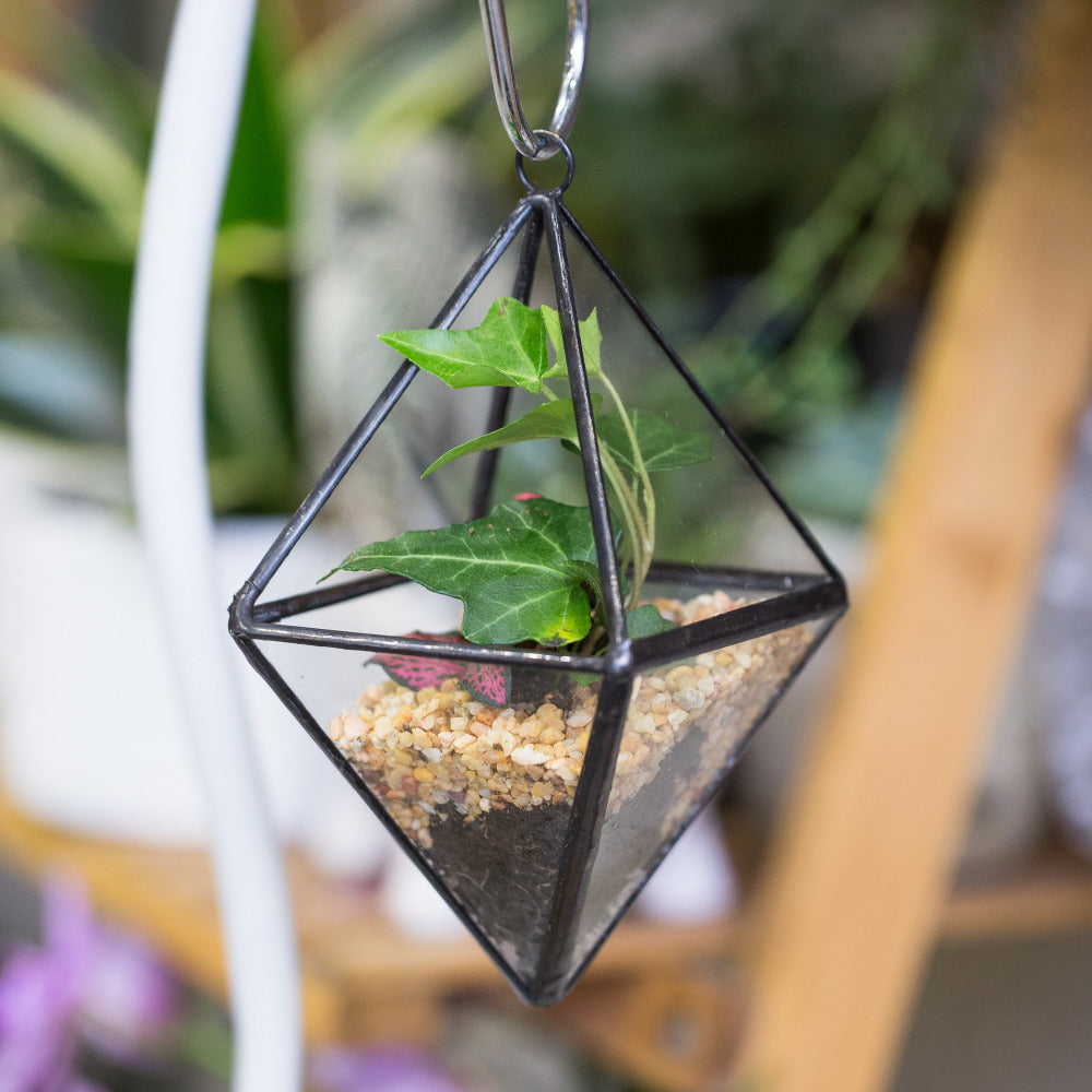 Handmade Small Hanging Hanging Geometric Glass Terrarium for Succulent Air Plant - NCYPgarden