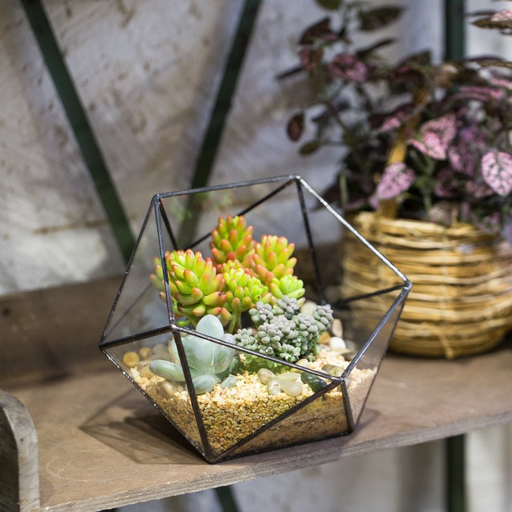 geometric glass succulent planter Handmade Bowl Shape Geometric Glass Terrarium Pot for Plants Succulent Moss Miniature Airplants