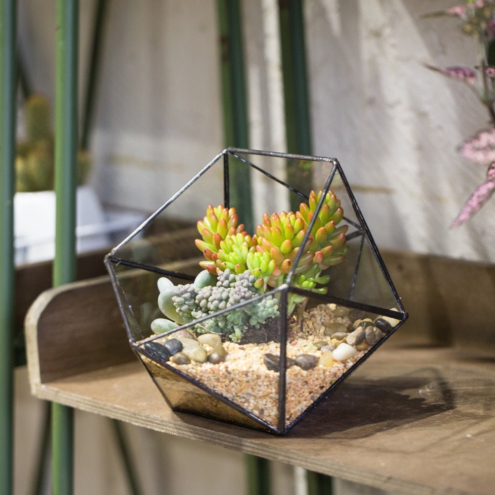 succulent geometric Handmade Bowl Shape Geometric Glass Terrarium Pot for Plants Succulent Moss Miniature Airplants