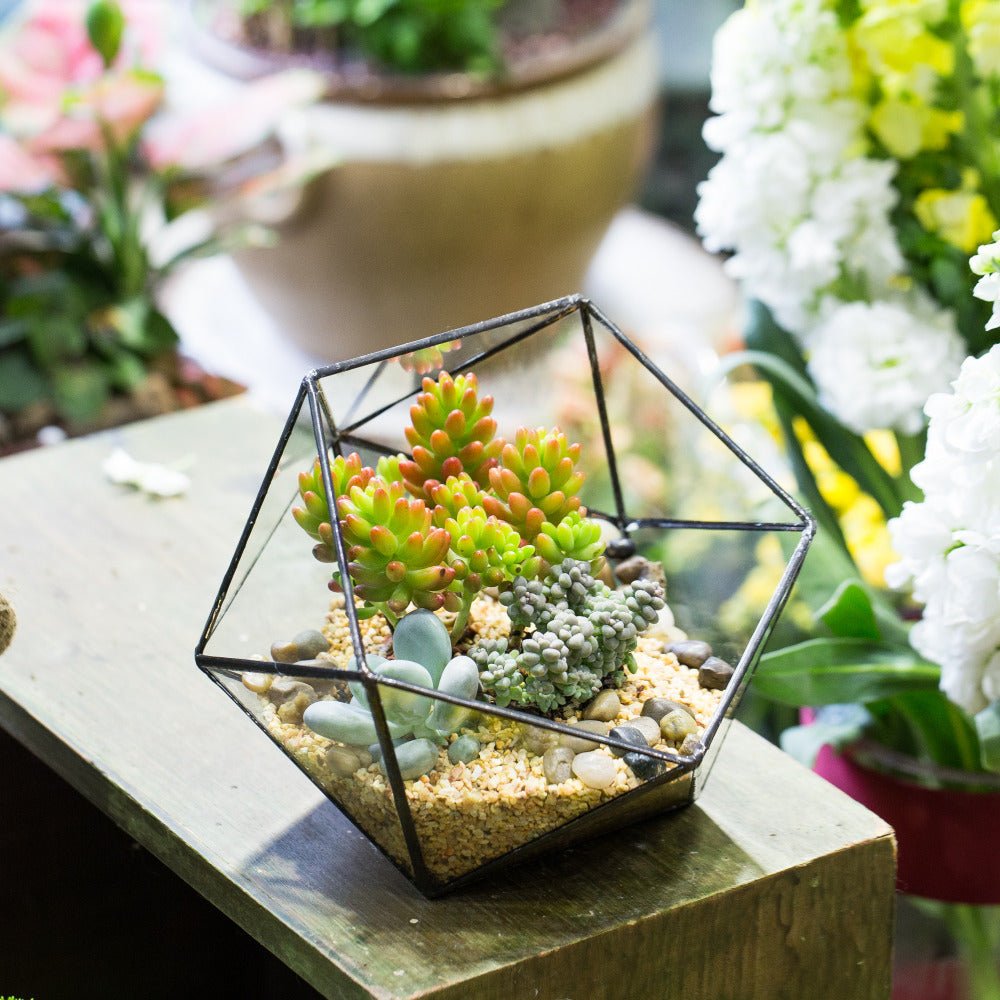 bowl shaped plant pots Handmade Bowl Shape Geometric Glass Terrarium Pot for Plants Succulent Moss Miniature Airplants PI01H2