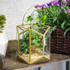 Handmade Hanging Copper Gold Echelon Geometric Glass Terrarium Lantern with Handle for Succulents - NCYPgarden
