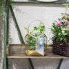 Handmade Hanging Copper Gold Echelon Geometric Glass Terrarium Lantern with Handle for Succulents - NCYPgarden