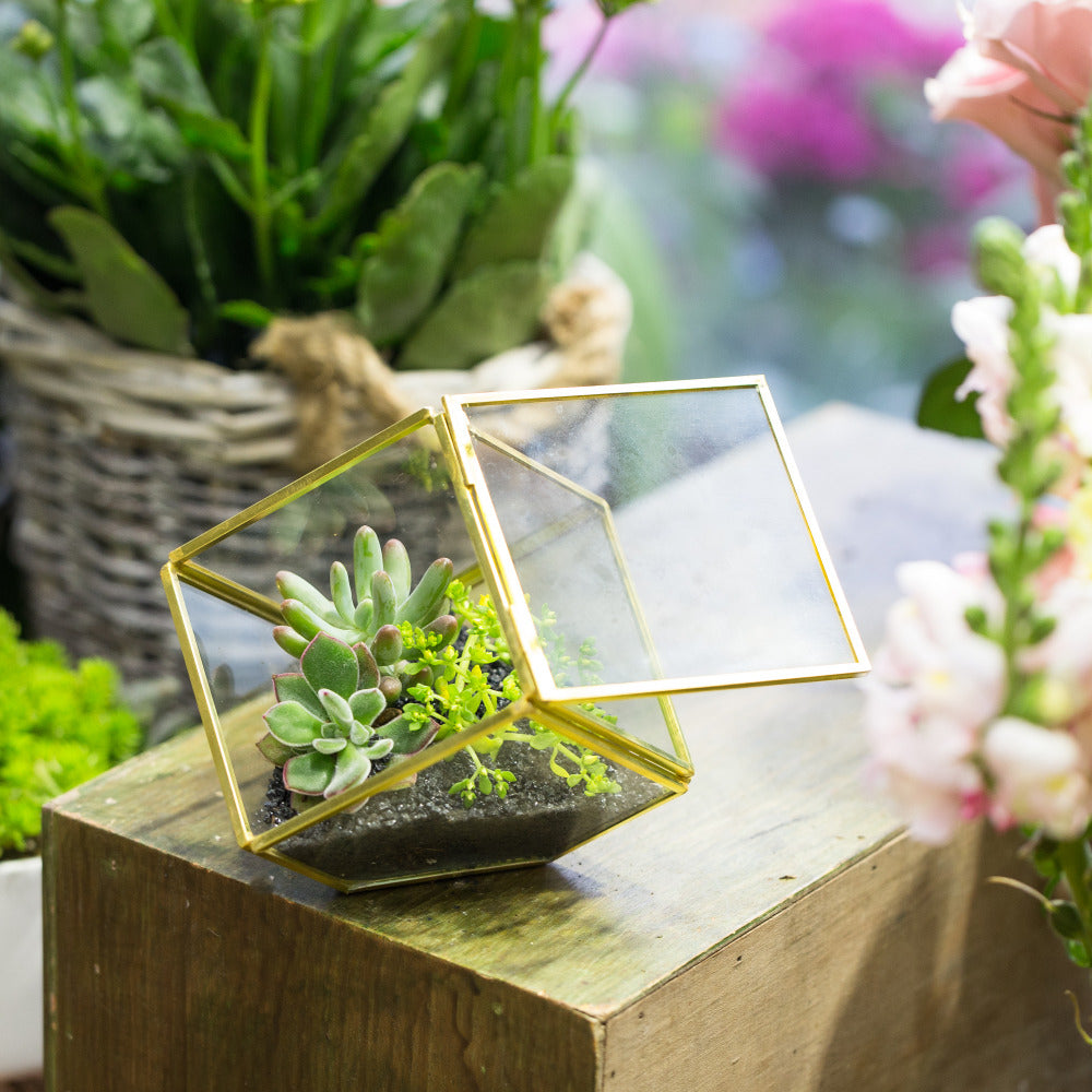 Handmade 3.9" Copper Square Inclined Cube Glass Geometric Terrarium Box with Door for Succulents - NCYPgarden