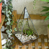 Handmade Glass Geometric Terrarium Indoor Outdoor Planter Landscape Wall Pyramid for Succulents - NCYPgarden