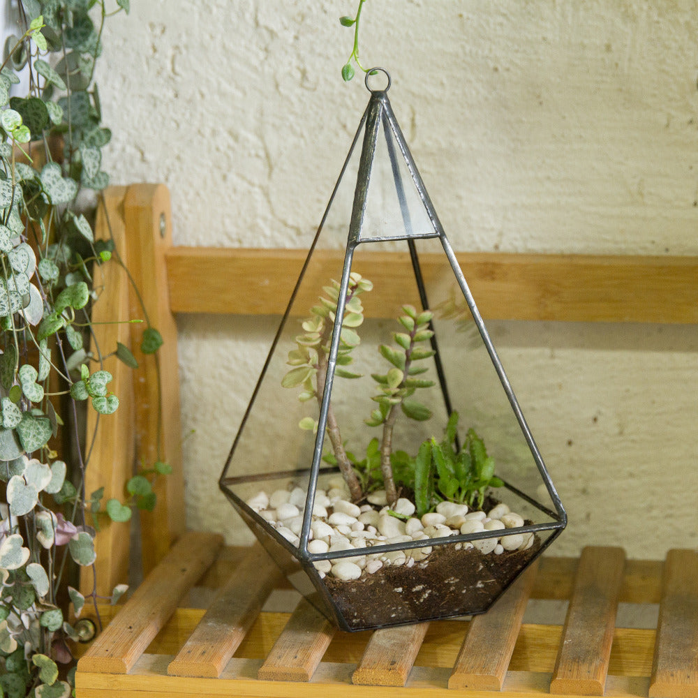 Handmade Glass Geometric Terrarium Indoor Outdoor Planter Landscape Wall Pyramid for Succulents - NCYPgarden