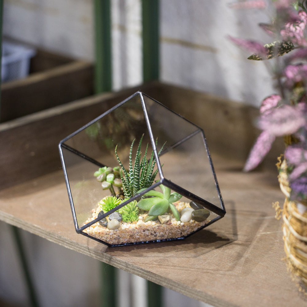 Handmade Inclined Cube Glass Geometric Terrarium Box Various Size Door Available for Succulent Moss - NCYPgarden