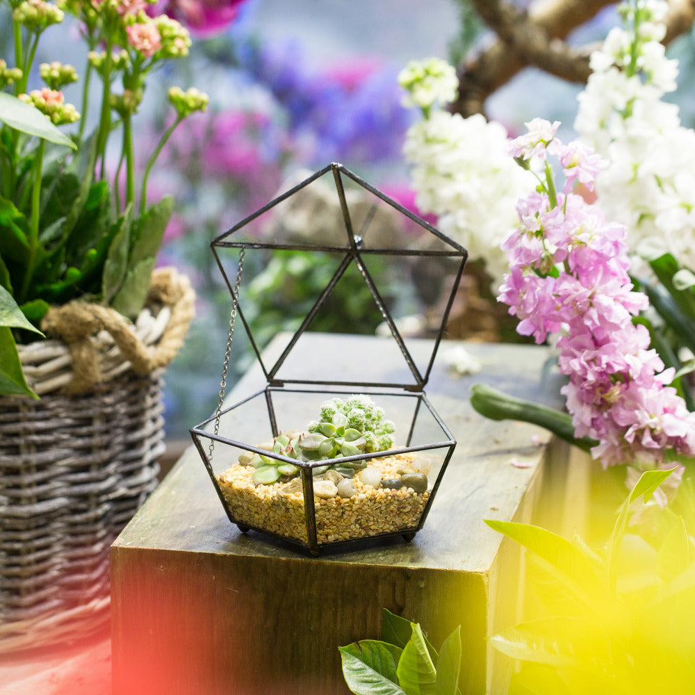 Handmade Small Modern Clear Jewelry BoxGlass Geometric Terrarium for Wedding Planters Succulents - NCYPgarden