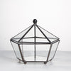 Handmade Small Modern Clear Jewelry BoxGlass Geometric Terrarium for Wedding Planters Succulents - NCYPgarden