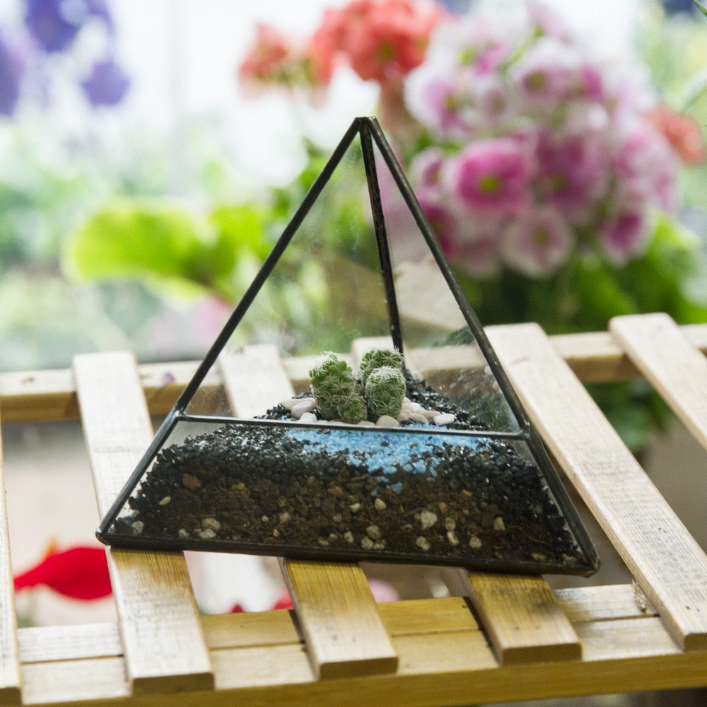 Handmade Pyramid Geometric Glass Terrarium for Succulent Fern Moss Airplants Cacti - NCYPgarden